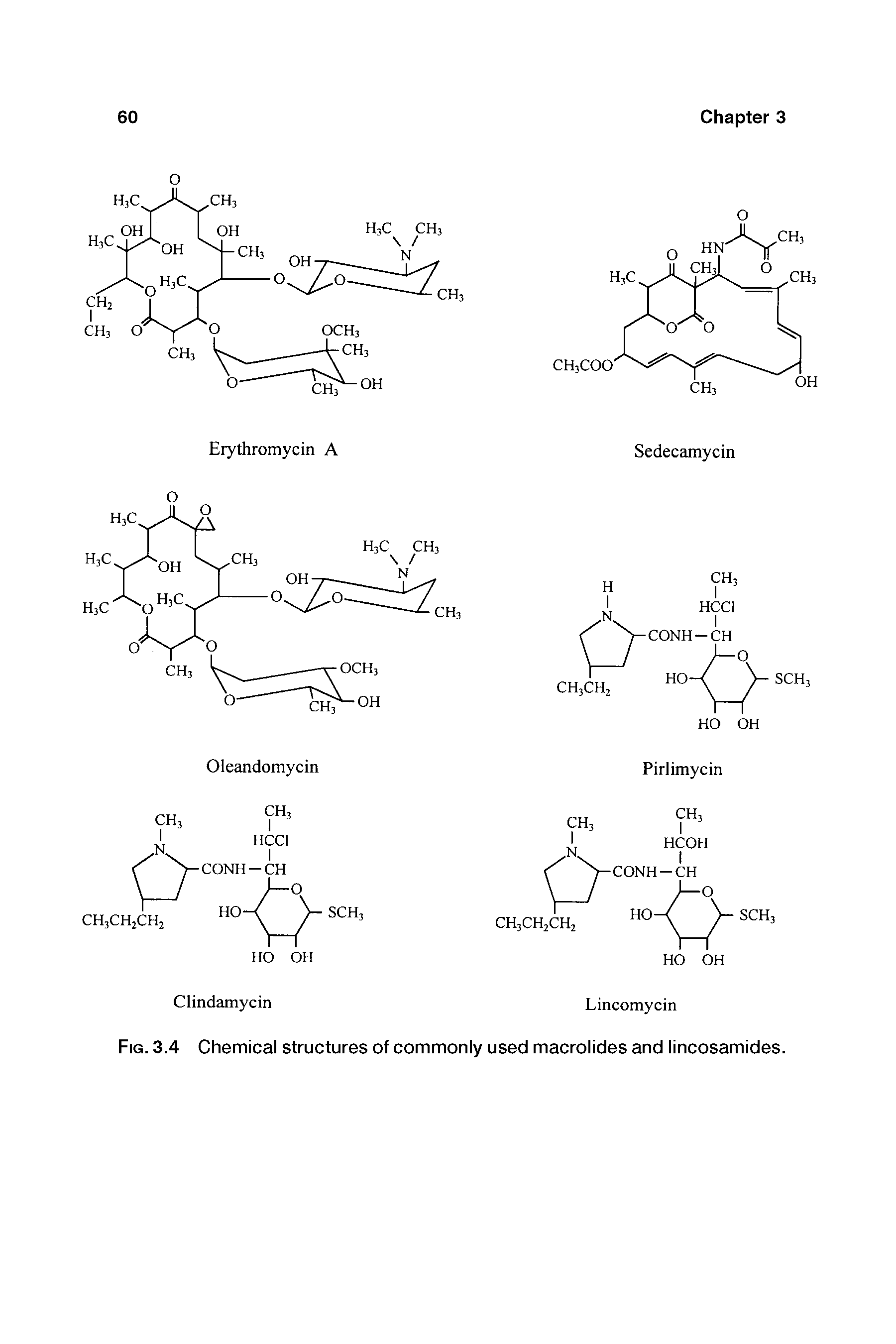 Fig. 3.4 Chemical structures of commonly used macrolides and lincosamides.