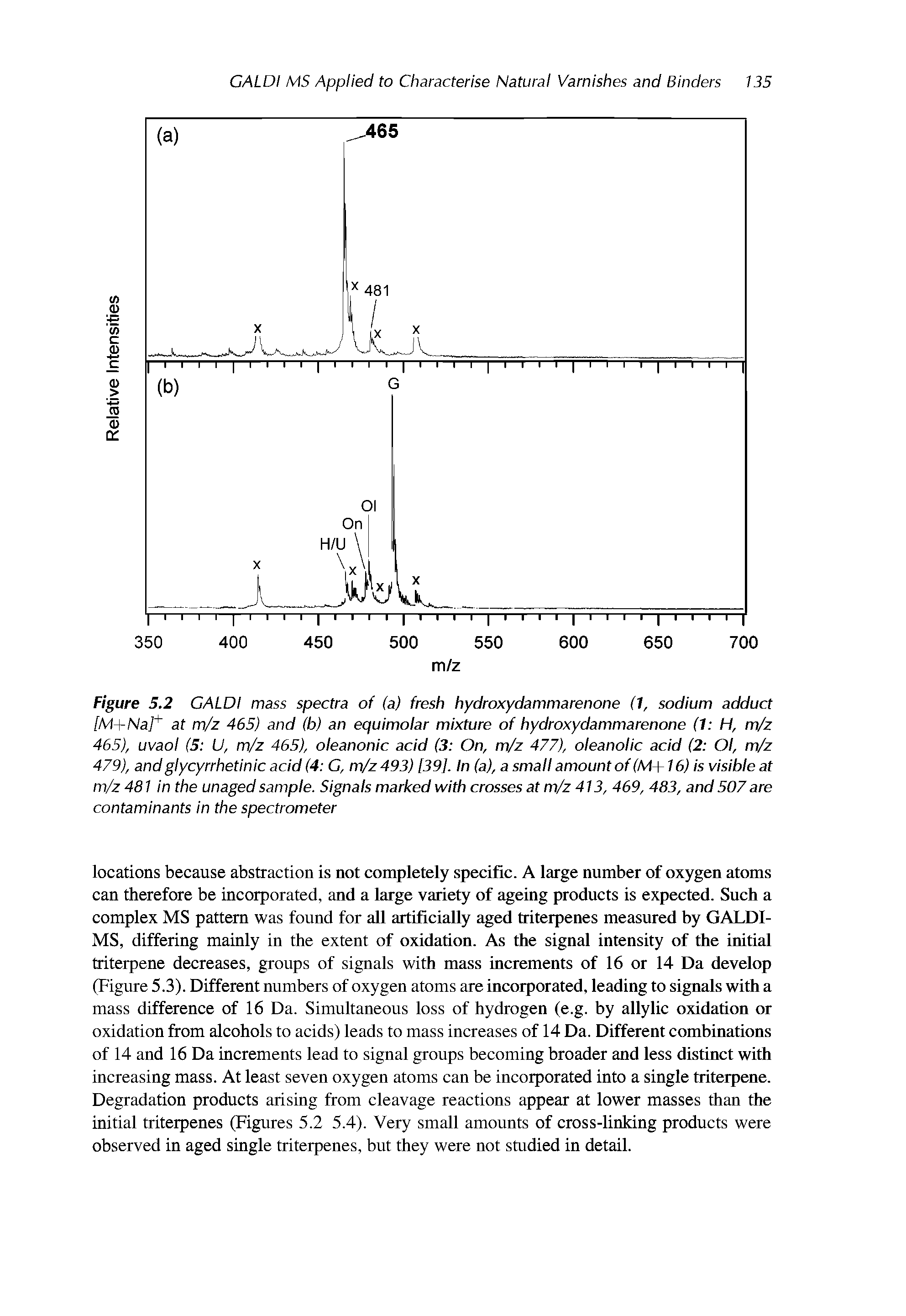 Figure 5.2 GALDI mass spectra of (a) fresh hydroxydammarenone (1, sodium adduct [M+Na]+ at m/z 465) and (b) an equimolar mixture of hydroxydammarenone (1 H, m/z 465), uvaol (5 U, m/z 465), oleanonic acid (3 On, m/z 477), oleanolic acid (2 Ol, m/z 479), andglycyrrhetinic acid (4 G, m/z 493) [39]. In (a), a small amount of (M+16) is visible at m/z 481 in the unaged sample. Signals marked with crosses at m/z 413, 469, 483, and 507are contaminants in the spectrometer...