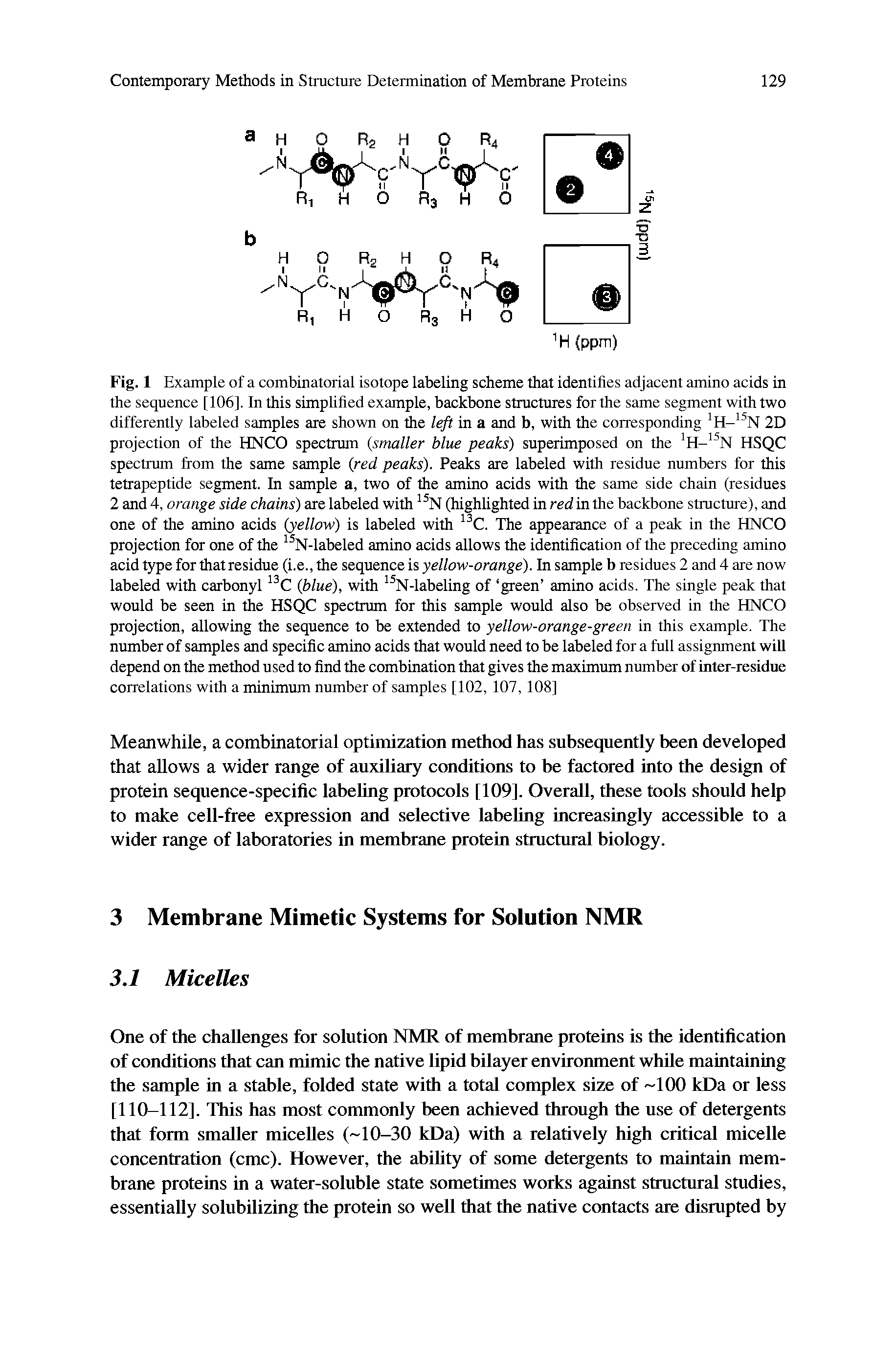 Fig. 1 Example of a combinatorial isotope labeling scheme that identifies adjacent amino acids in the sequence [106], In this simplified example, backbone structures for the same segment with two differently labeled samples are shown on the left in a and b, with the corresponding 2D...