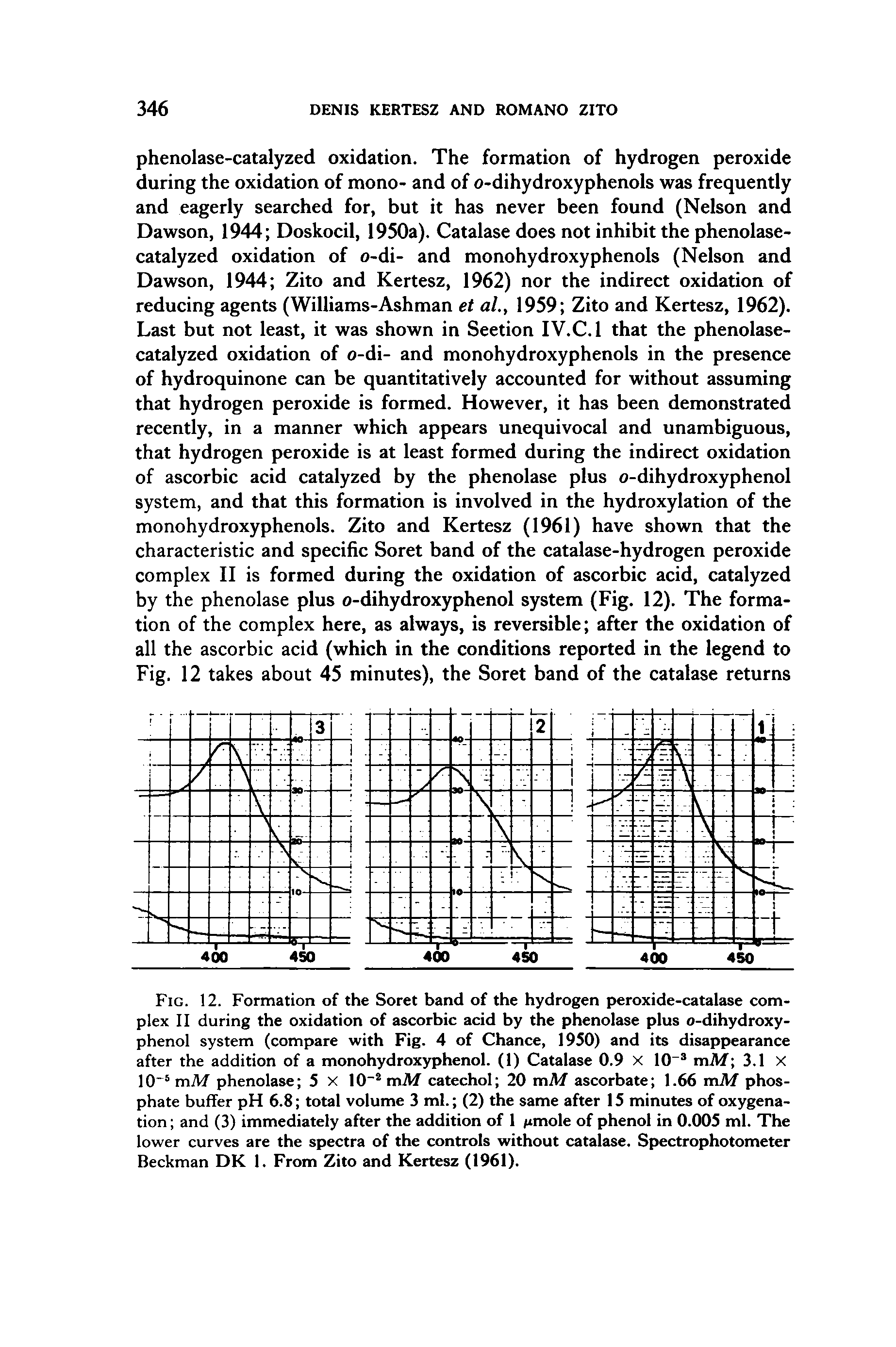 Fig. 12. Formation of the Soret band of the hydrogen peroxide-catalase complex II during the oxidation of ascorbic acid by the phenolase plus o-dihydroxyphenol system (compare with Fig. 4 of Chance, 1950) and its disappearance after the addition of a monohydroxyphenol. (1) Catalase 0.9 x 10 mAf 3.1 X 10 mM phenolase 5 x 10 mM catechol 20 vaM ascorbate 1.66 mM phosphate buffer pH 6.8 total volume 3 ml. (2) the same after 15 minutes of oxygenation and (3) immediately after the addition of 1 /tmole of phenol in 0.005 ml. The lower curves are the spectra of the controls without catalase. Spectrophotometer Beckman DK 1. From Zito and Kertesz (1961).
