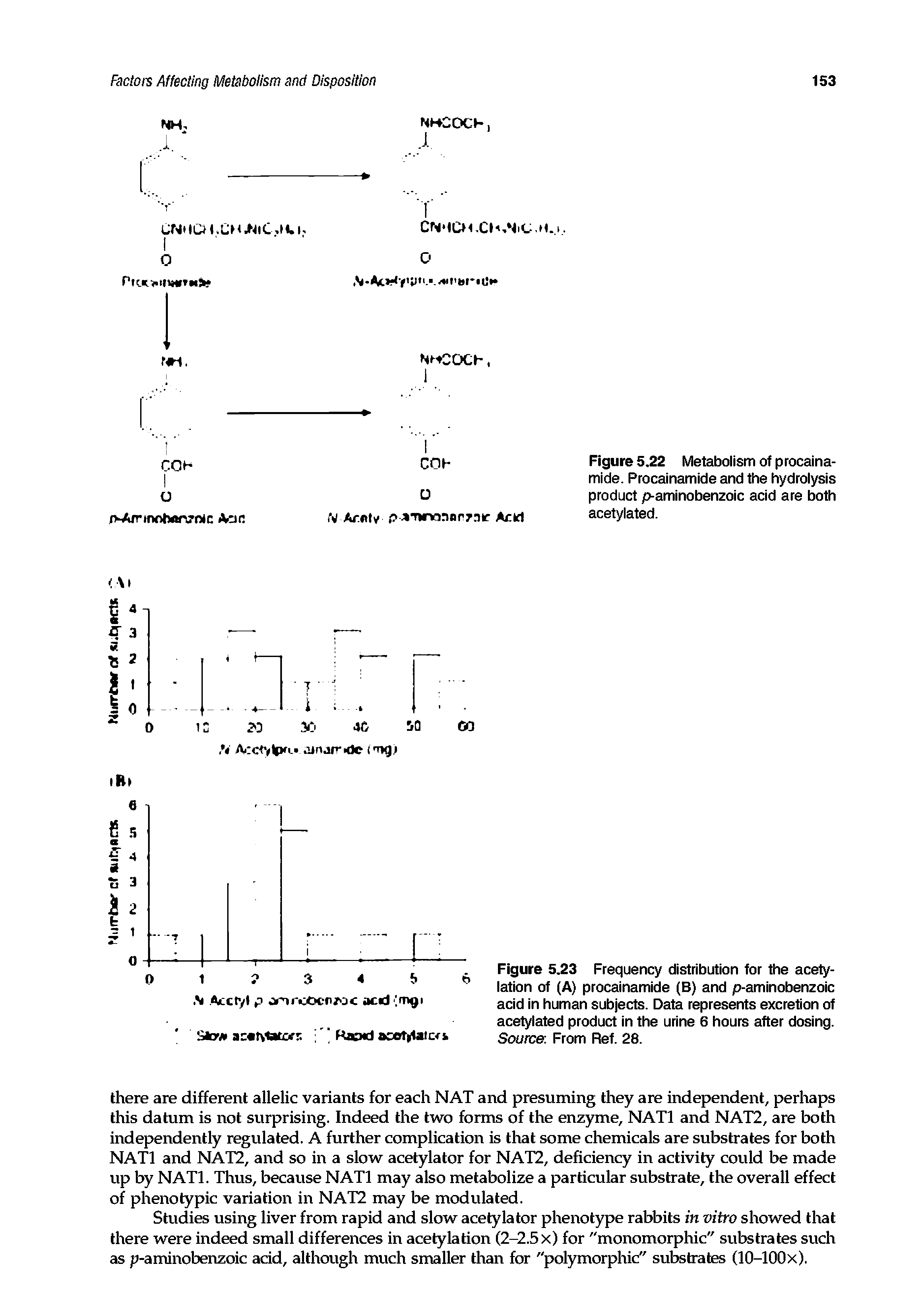 Figure 5.23 Frequency distribution for the acetylation of (A) procainamide (B) and p-aminobenzoic acid in human subjects. Data represents excretion of acetylated product in the urine 6 hours after dosing. Source From Ref. 28.