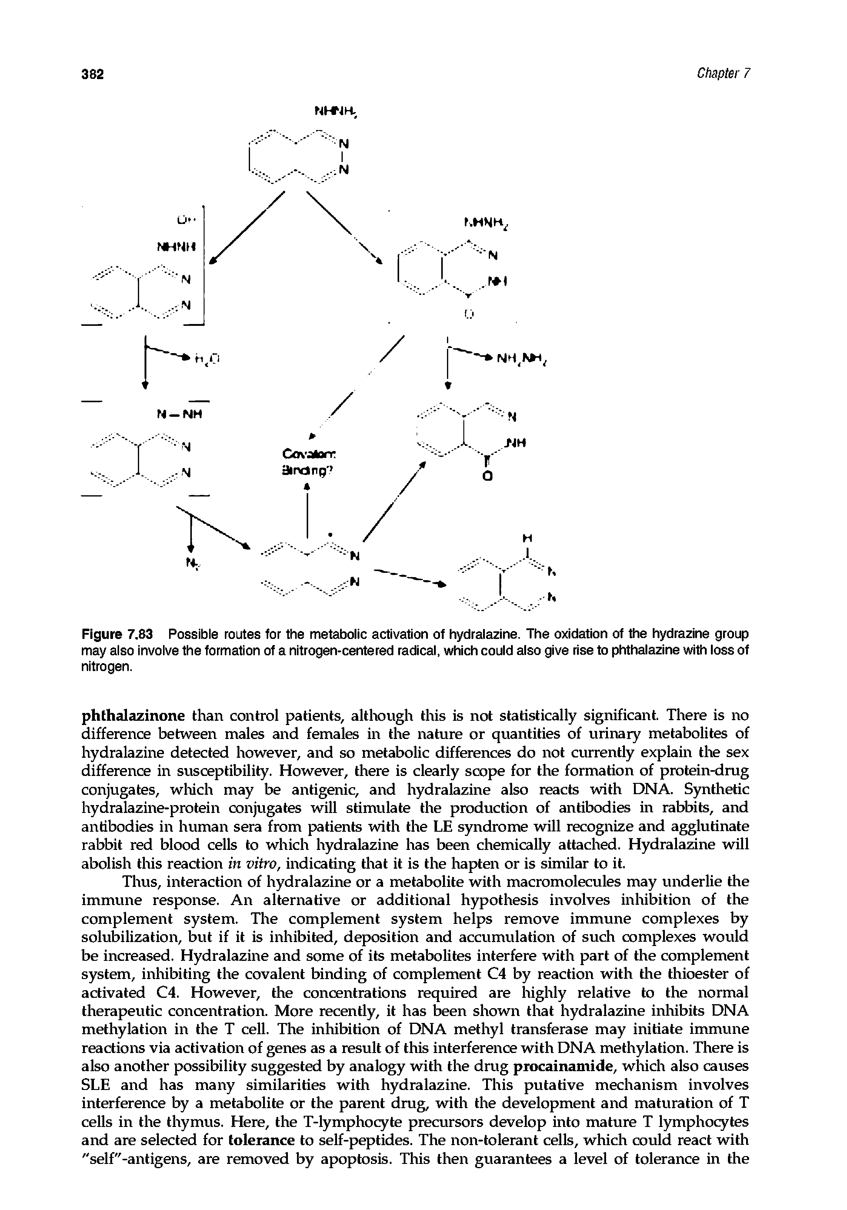 Figure 7.83 Possible routes for the metabolic activation of hydralazine. The oxidation of the hydrazine group may also involve the formation of a nitrogen-centered radical, which could also give rise to phthalazine with loss of nitrogen.