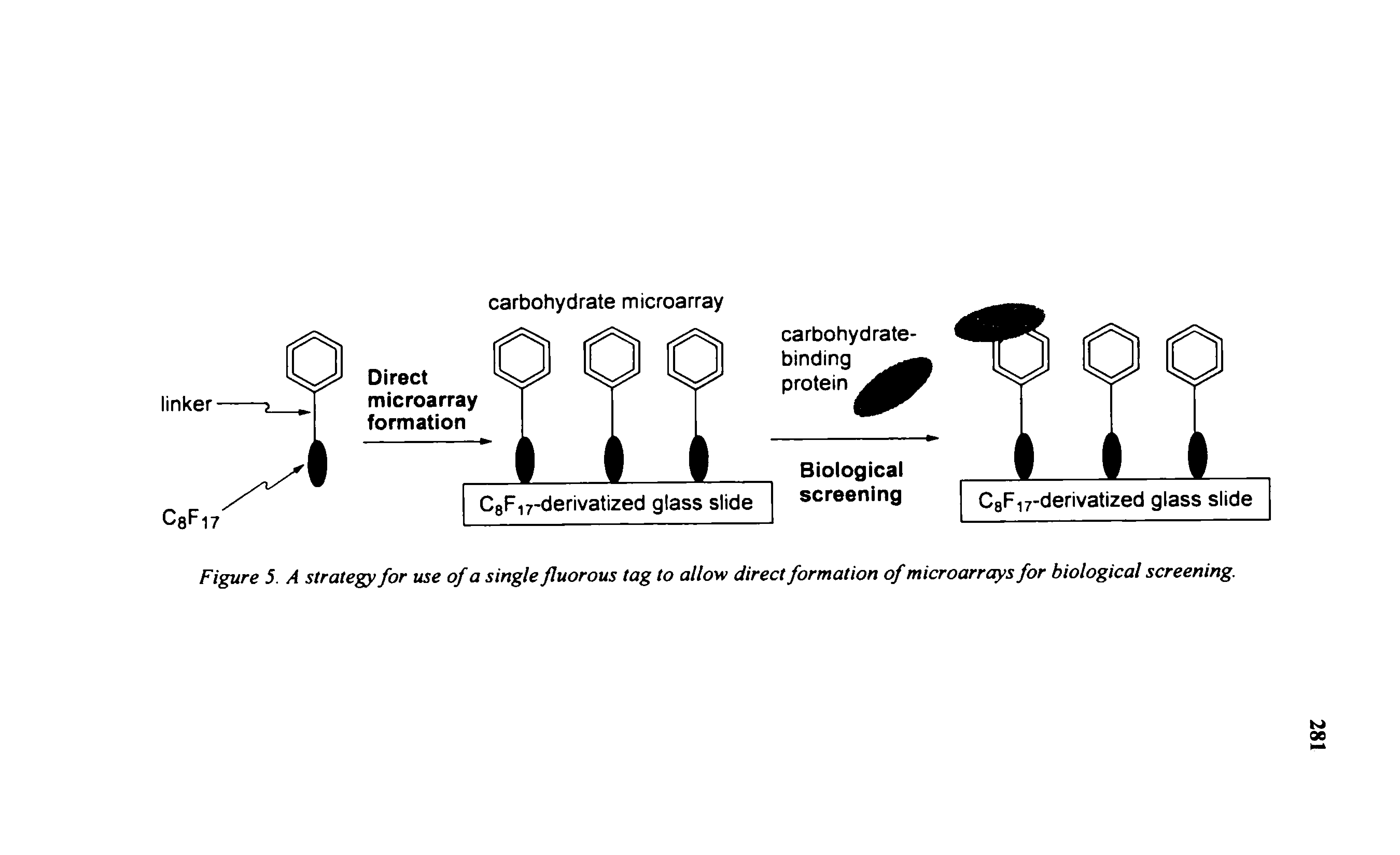 Figure 5. A strategy for use of a single fluorous tag to allow direct formation of microarrays for biological screening.