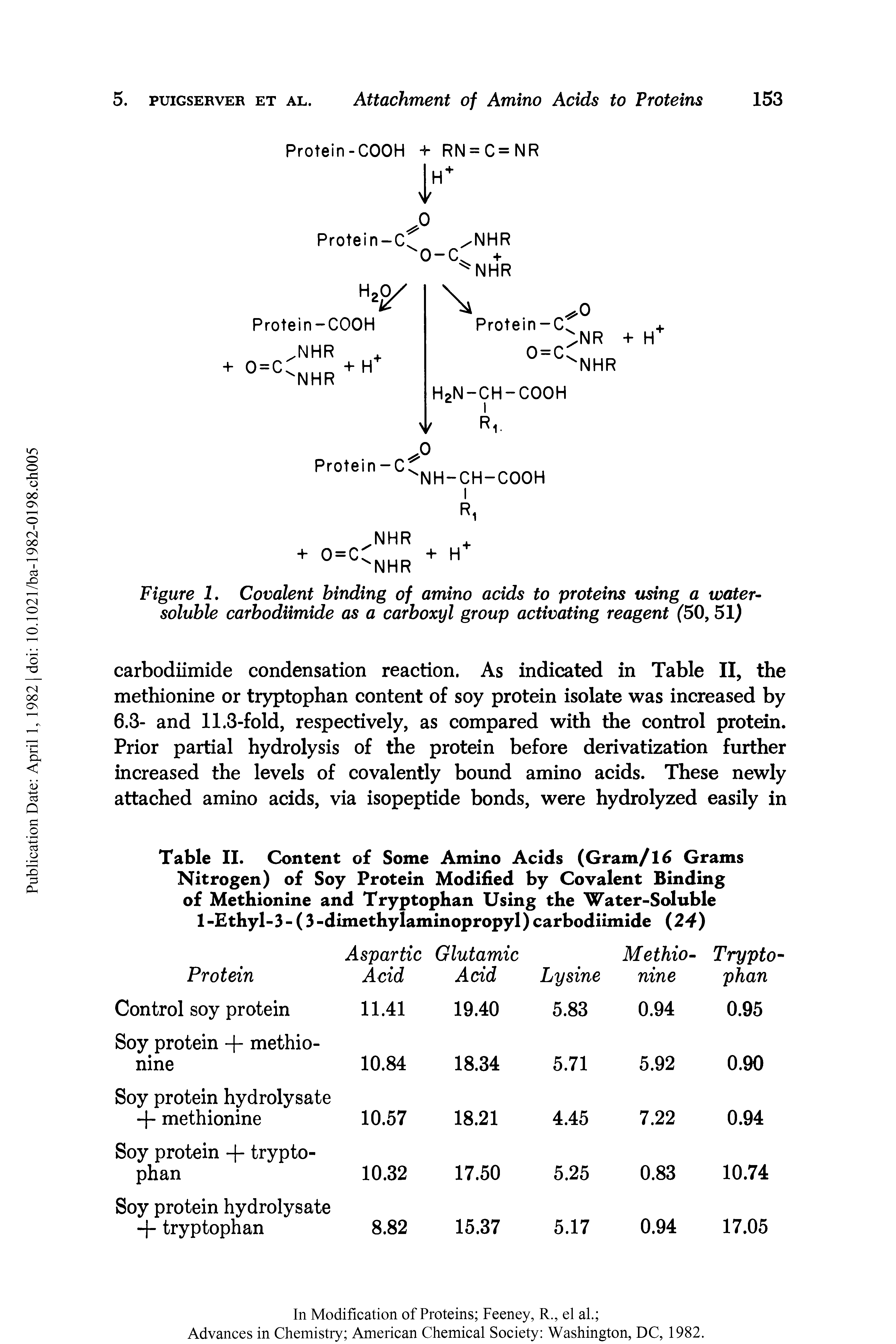 Figure 1. Covalent binding of amino acids to proteins using a water-soluble carbodiimide as a carboxyl group activating reagent (50, 51)...