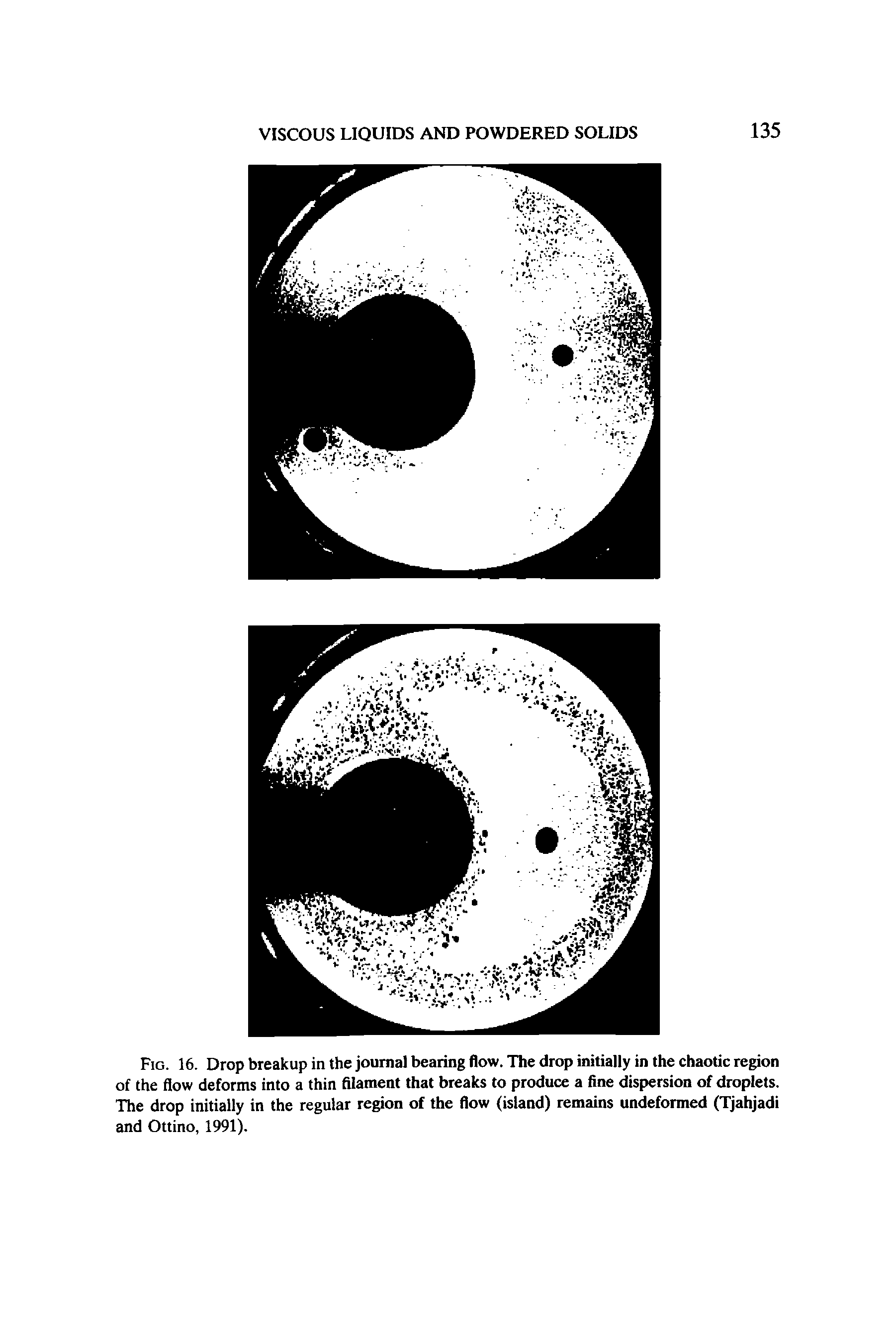 Fig. 16. Drop breakup in the journal bearing flow. The drop initially in the chaotic region of the flow deforms into a thin filament that breaks to produce a fine dispersion of droplets. The drop initially in the regular region of the flow (island) remains undeformed (Tjahjadi and Ottino, 1991).