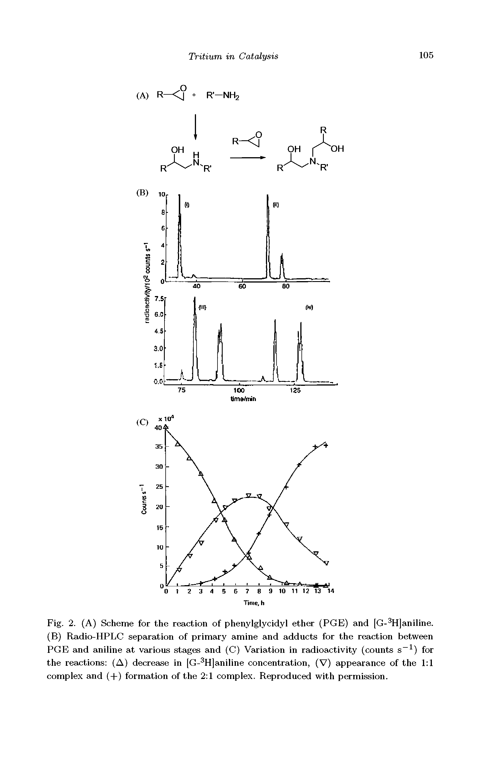 Fig. 2. (A) Scheme for the reaction of phenylglycidyl ether (PGE) and [G- H]aniline. (B) Radio-HPLC separation of primary amine and adducts for the reaction between PGE and aniline at various stages and (C) Variation in radiojictivity (counts s ) for the reactions (A) decrease in [G- H]aniline concentration, (V) appearance of the 1 1 complex and (+) formation of the 2 1 complex. Reproduced with permission.
