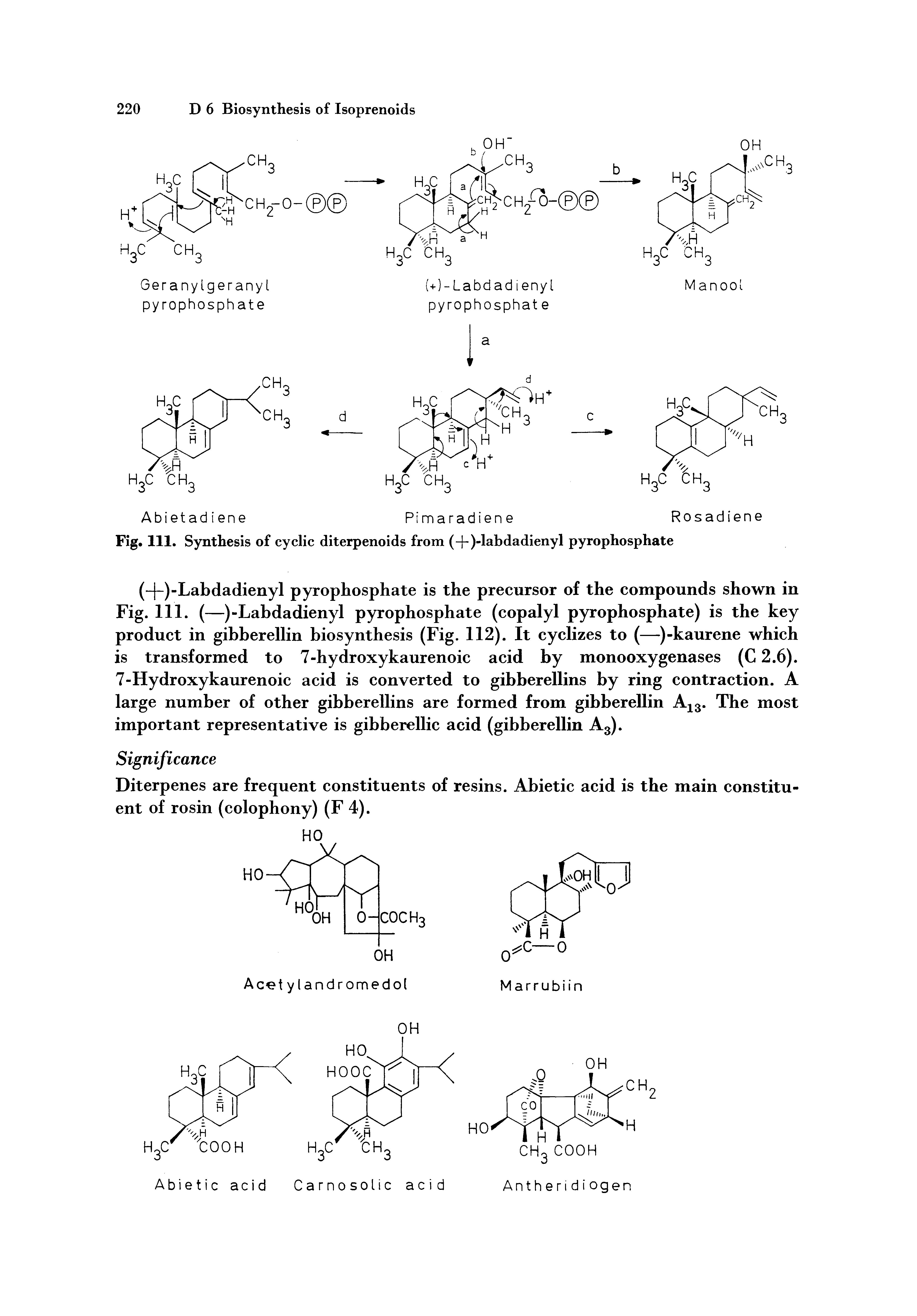 Fig. 111. Synthesis of cyclic diterpenoids from (+)-labdadienyl pyrophosphate...