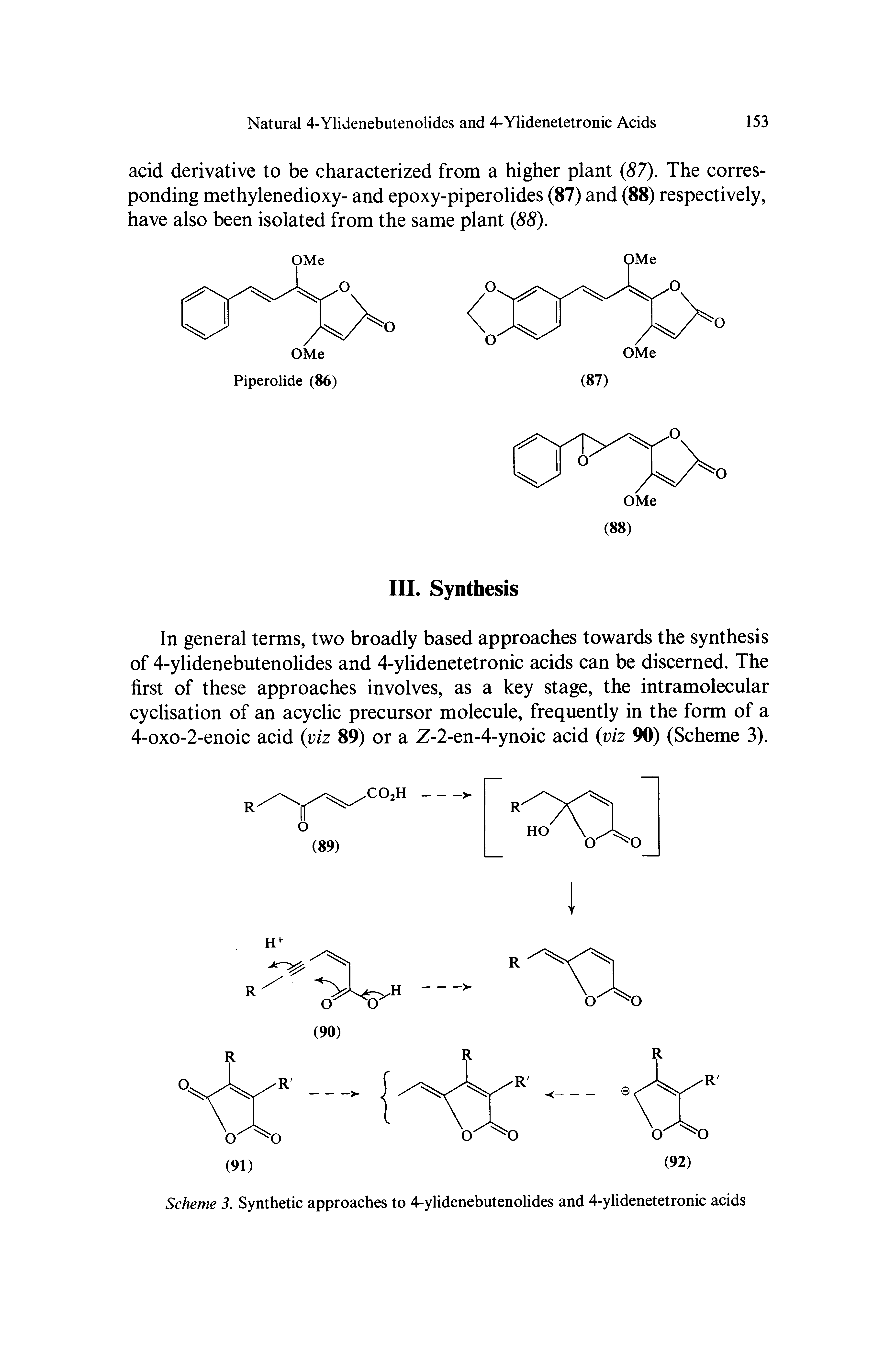 Scheme 3. Synthetic approaches to 4-ylidenebutenolides and 4-ylidenetetronic acids...