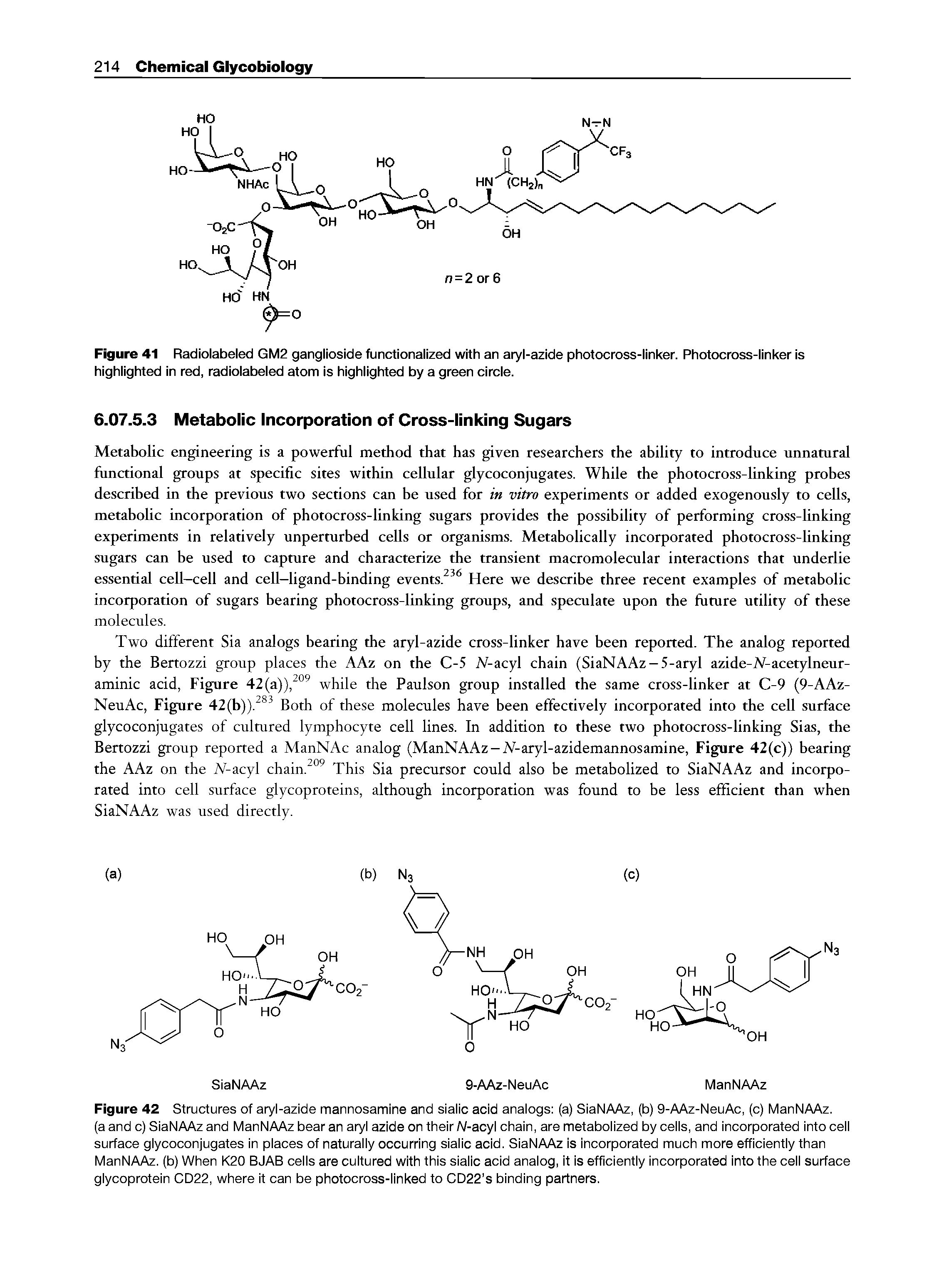 Figure 42 Structures of aryl-azide mannosamine and sialic acid analogs (a) SiaNAAz, (b) 9-AAz-NeuAc, (c) ManNAAz.