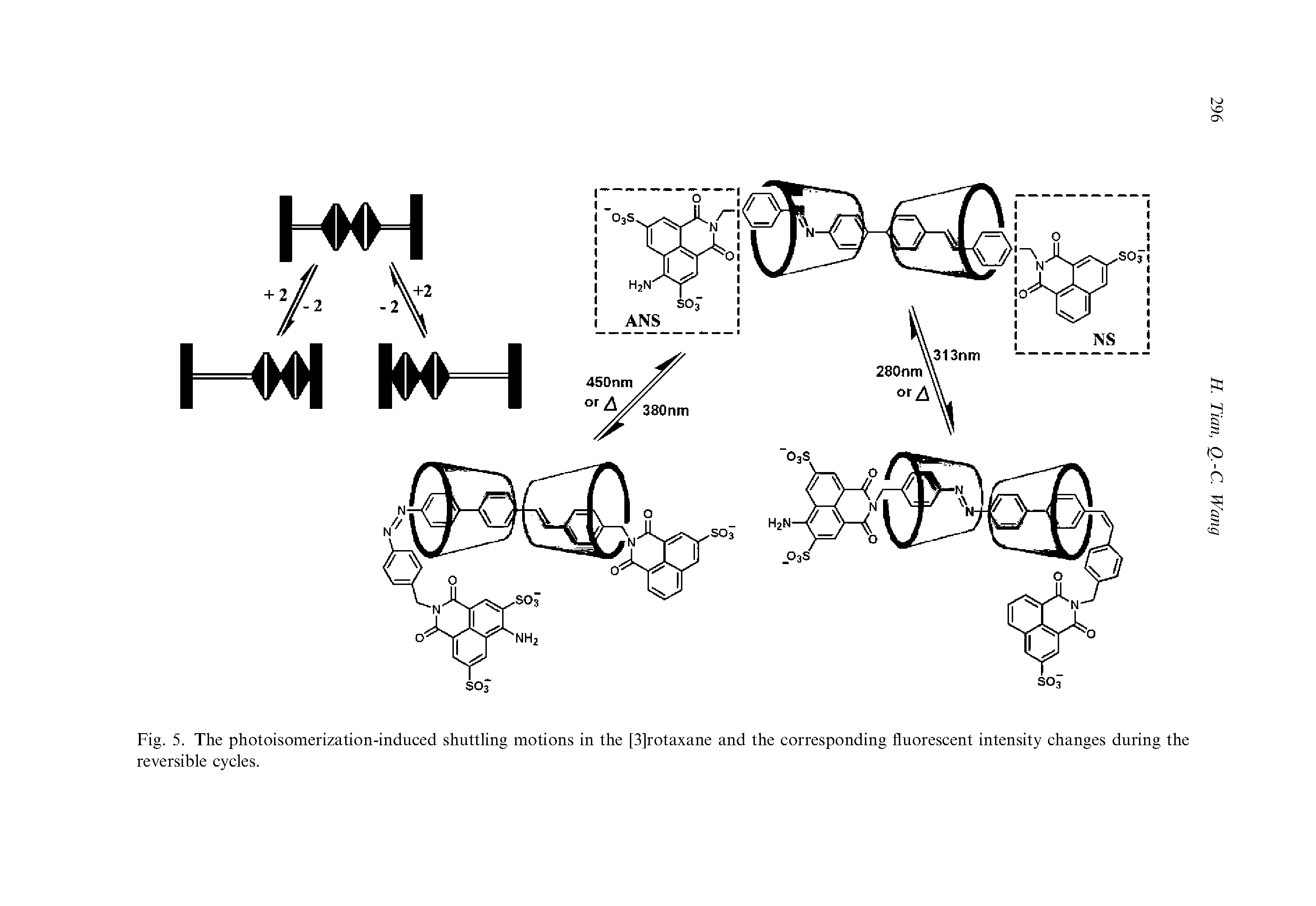 Fig. 5. The photoisomerization-induced shuttling motions in the [3]rotaxane and the corresponding fluorescent intensity changes during the reversible cycles.