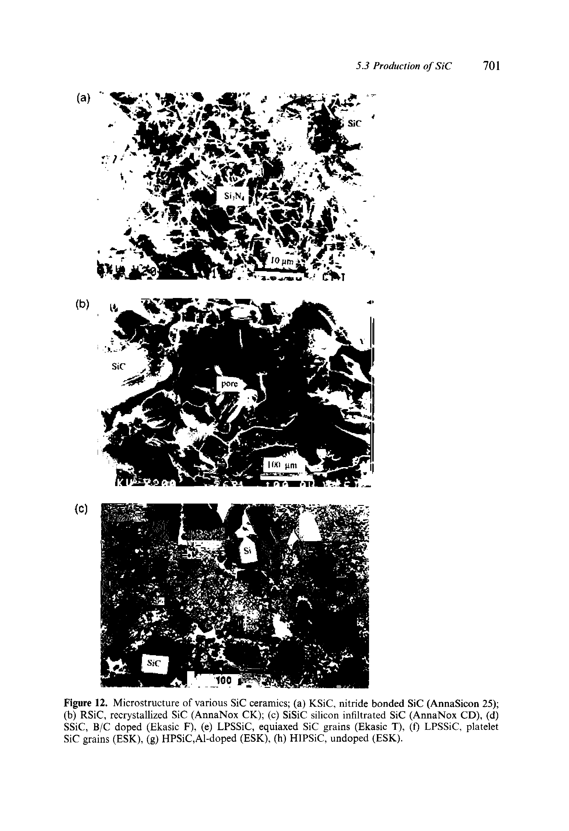 Figure 12. Microstructure of various SiC ceramics (a) KSiC, nitride bonded SiC (AnnaSicon 25) (b) RSiC, recrystallized SiC (AnnaNox CK) (c) SiSiC silicon infiltrated SiC (AnnaNox CD), (d) SSiC, B/C doped (Ekasic F), (e) LPSSiC, equiaxed SiC grains (Ekasic T), (f) LPSSiC, platelet SiC grains (ESK), (g) HPSiC,Al-doped (ESK), (h) HIPSiC, undoped (ESK).