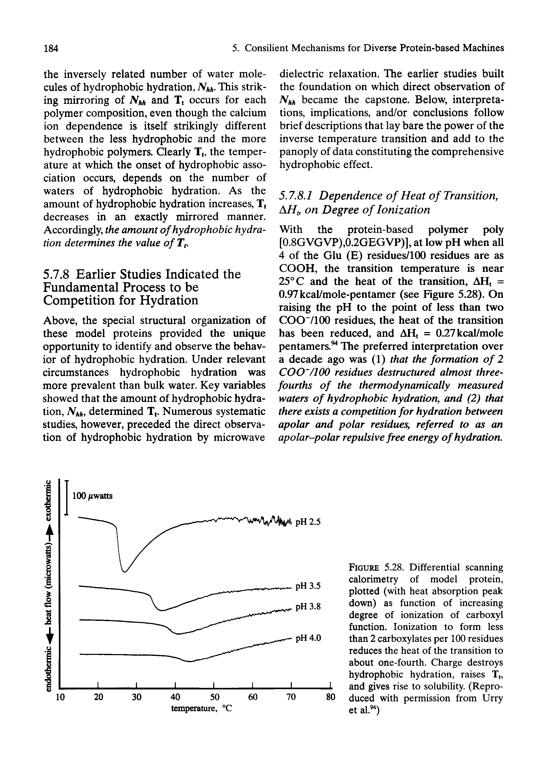 Figure 5.28. Differential scanning calorimetry of model protein, plotted (with heat absorption peak down) as function of increasing degree of ionization of carboxyl function. Ionization to form less than 2 carboxylates per 100 residues reduces the heat of the transition to about one-fourth. Charge destroys hydrophobic hydration, raises T and gives rise to solubility. (Reproduced with permission from Urry et al. )...