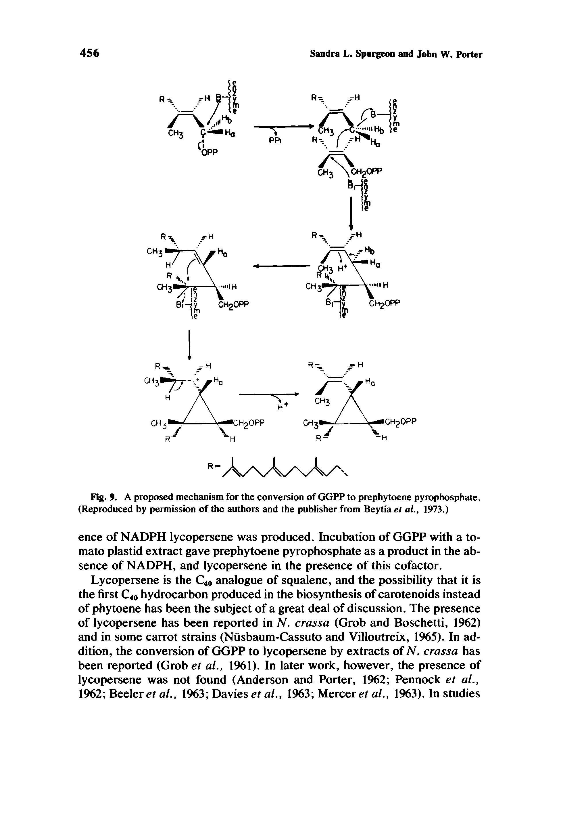 Fig. 9. A proposed mechanism for the conversion of GGPP to prephytoene pyrophosphate. (Reproduced by permission of the authors and the publisher from Beytia el al., 1973.)...