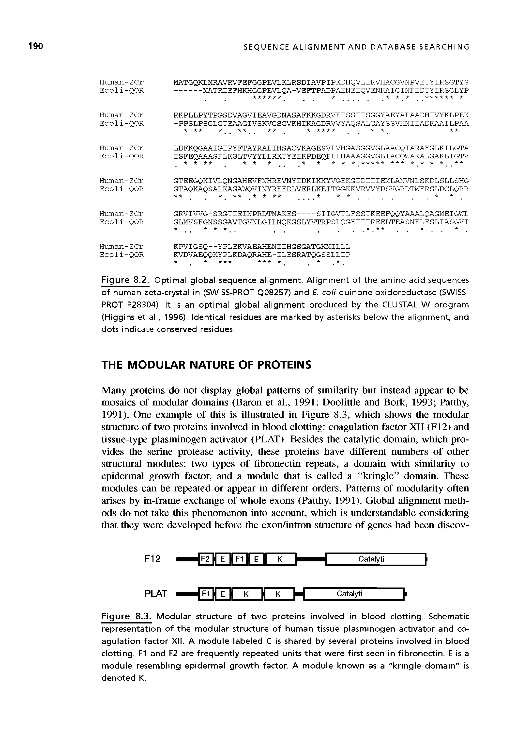 Figure 8.2. Optimal global sequence alignment. Alignment of the amino acid sequences of human zeta-crystallin (SWISS-PROT Q08257) and E. coli quinone oxidoreductase (SWISS-PROT P28304). It is an optimal global alignment produced by the CLUSTAL W program (Higgins et al., 1996). Identical residues are marked by asterisks below the alignment, and dots indicate conserved residues.