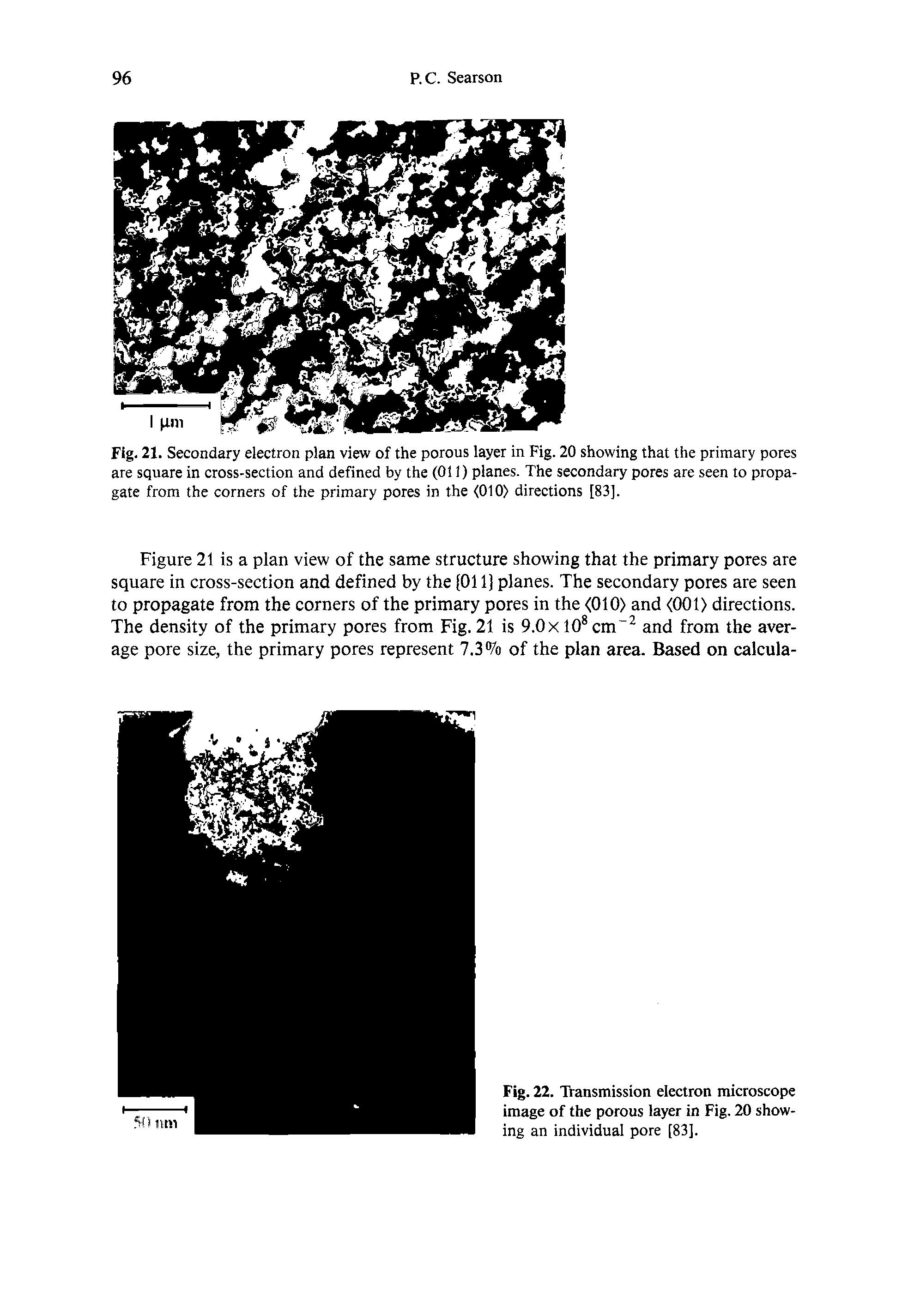 Fig. 22. Transmission electron microscope image of the porous layer in Fig. 20 showing an individual pore [83].