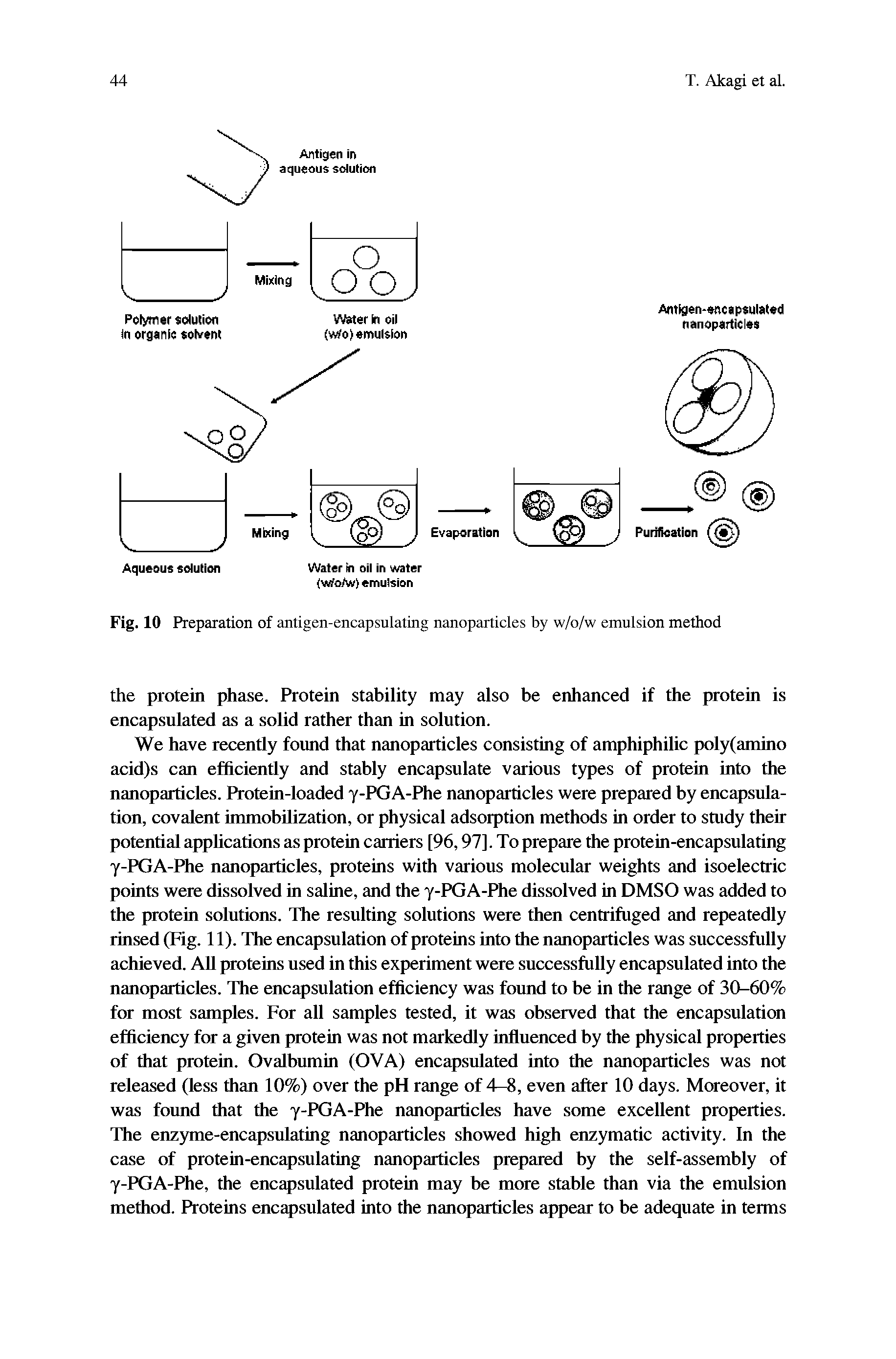 Fig. 10 Preparation of antigen-encapsulating nanoparticles by w/o/w emulsion method...