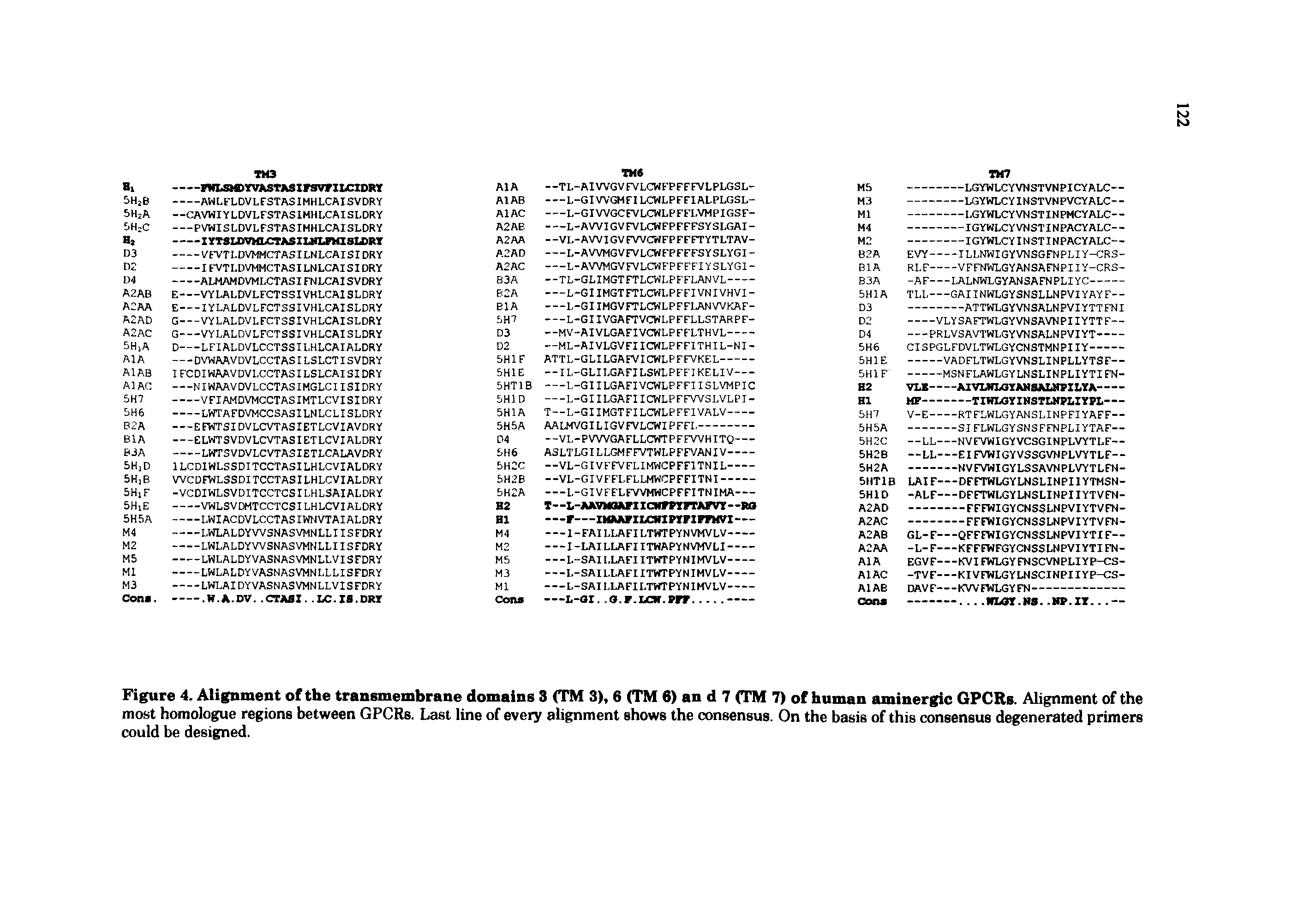 Figure 4. Alignment of the transmembrane domains 3 <TM 3), 6 (TM 6) an d 7 (TM 7) of human aminergic GPCRs. Alignment of the most homologue regions between GPCRs. Last line of every alignment shows the consensus. On the basis of this consensus degenerated primers could be designed.