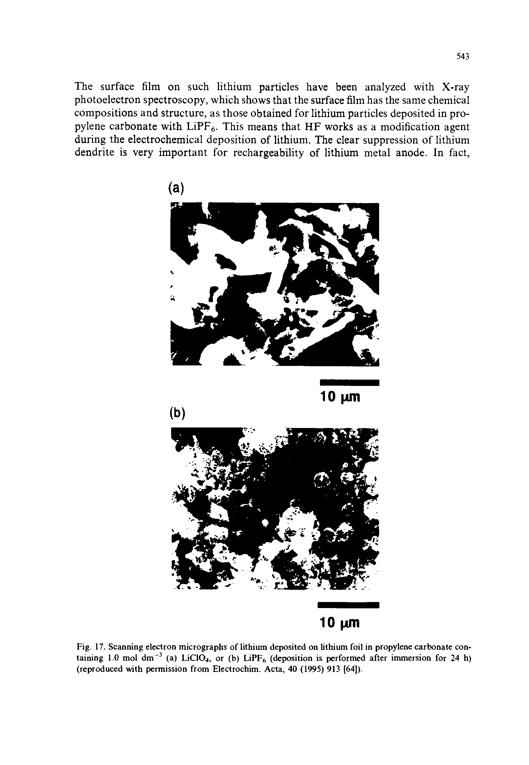 Fig. 17. Scanning electron micrographs of lithium deposited on lithium foil in propylene carbonate containing 1.0 mol dm-3 (a) LiCKX, or (b) LiPF6 (deposition is performed after immersion for 24 h) (reproduced with permission from Electrochim. Acta, 40 (1995) 913 [64]).