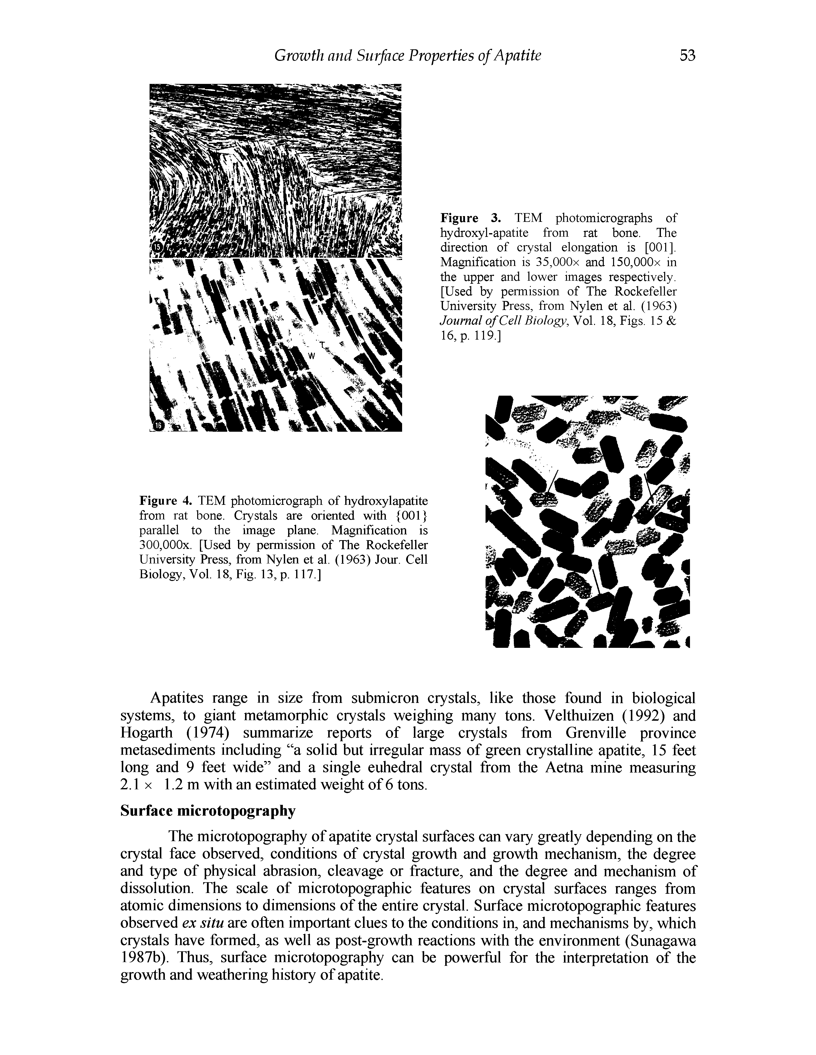 Figure 3. TEM photomicrographs of hydroxyl-apatite from rat bone. The direction of crystal elongation is [001], Magnification is 35,000x and 150,000x in the upper and lower images respectively. [Used by permission of The Rockefeller University Press, from Nylen et al. (1963) Journal of Cell Biology, Vol. 18, Figs. 15 16, p. 119.]...