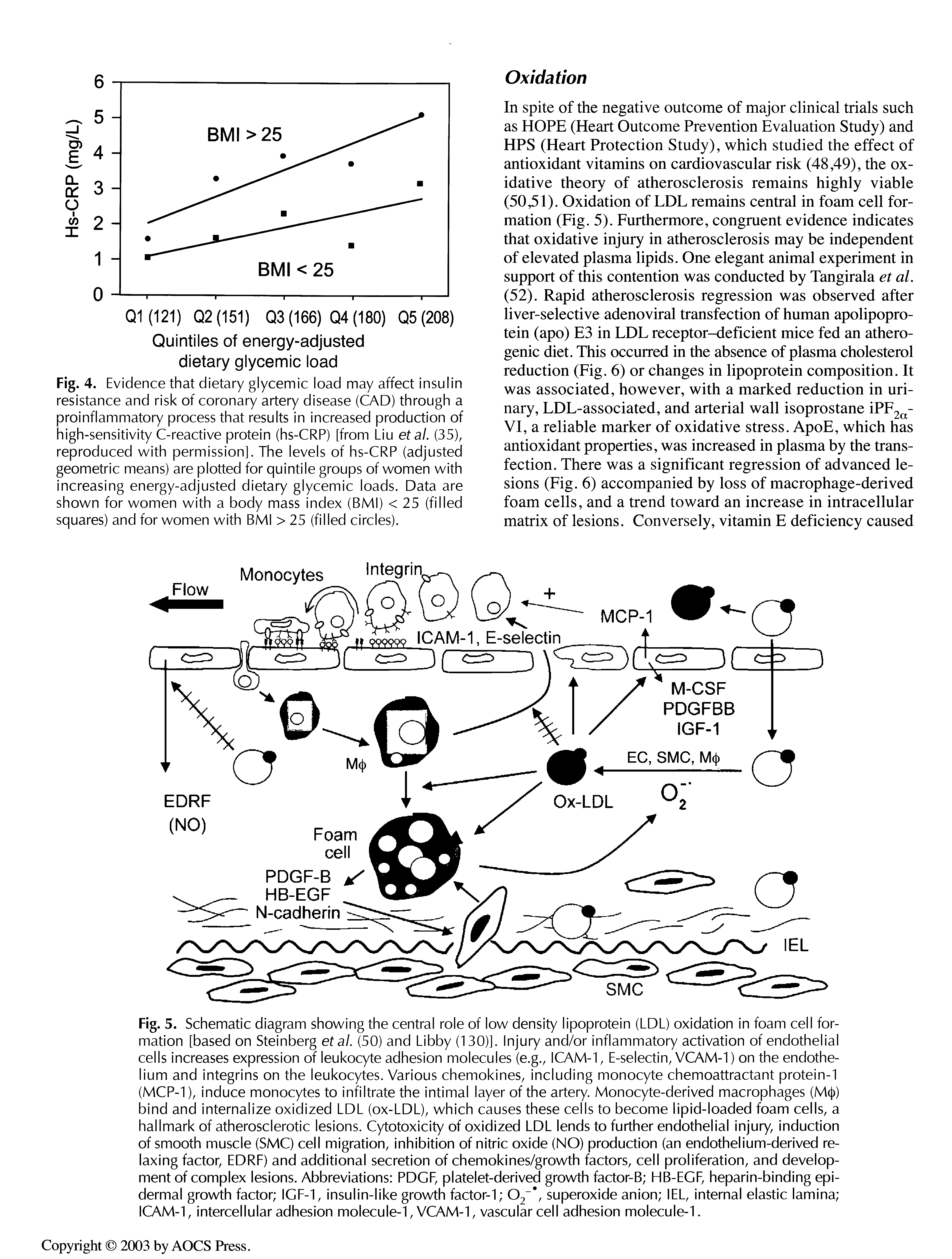 Fig. 4. Evidence that dietary glycemic load may affect insulin resistance and risk of coronary artery disease (CAD) through a proinflammatory process that results in increased production of high-sensitivity C-reactive protein (hs-CRP) [from Liu etal. (35), reproduced with permission]. The levels of hs-CRP (adjusted geometric means) are plotted for quintile groups of women with increasing energy-adjusted dietary glycemic loads. Data are shown for women with a body mass index (BMI) < 25 (filled squares) and for women with BMI > 25 (filled circles).
