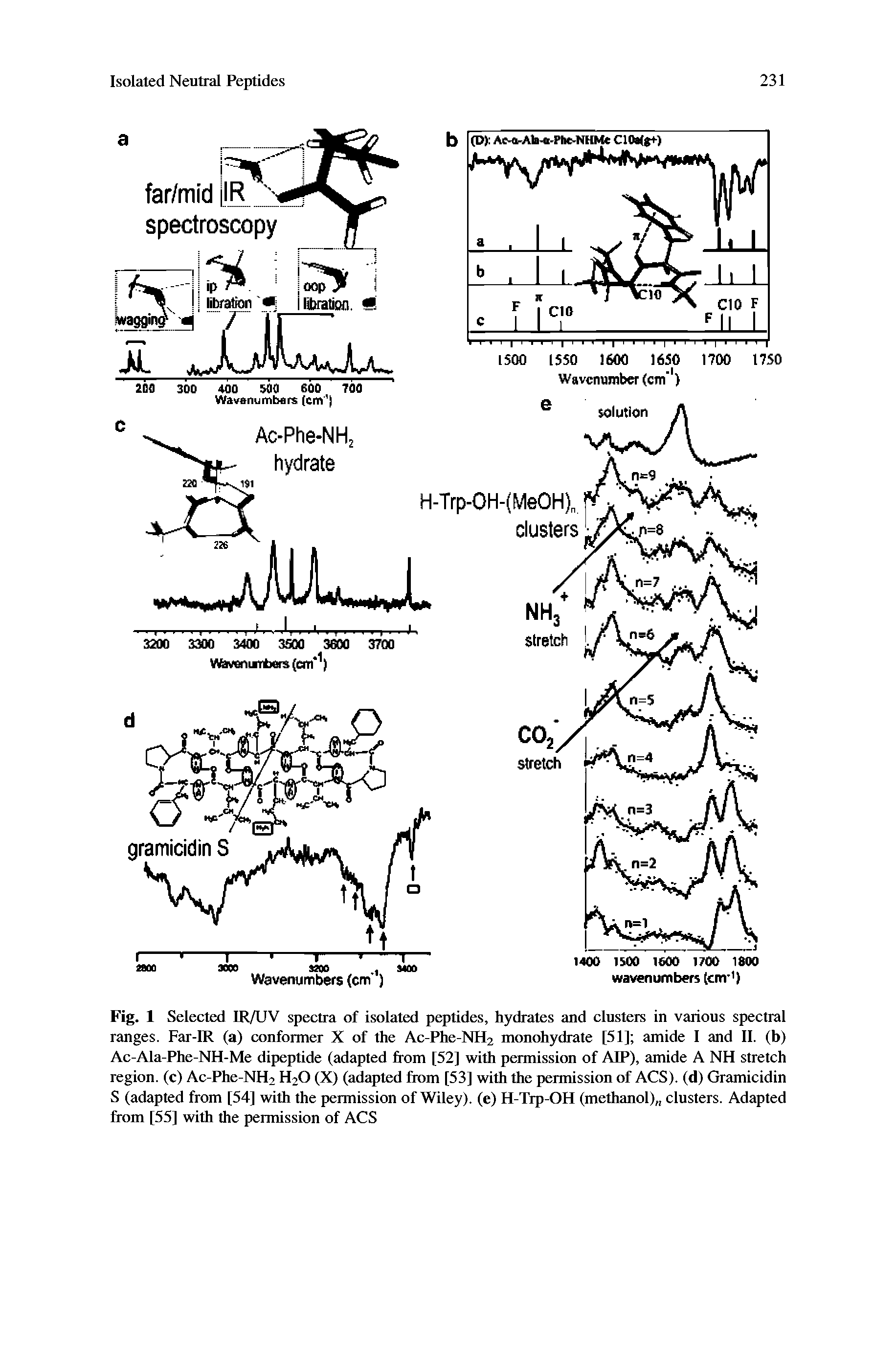 Fig. 1 Selected IR/UV spectra of isolated peptides, hydrates and clusters in various spectral ranges. Far-IR (a) conformer X of the Ac-Phe-NH2 monohydrate [51] amide I and II. (b) Ac-Ala-Phe-NH-Me dipeptide (adapted from [52] with permission of AIP), amide A NH stretch region, (c) Ac-Phe-NH2 H2O (X) (adapted from [53] with the permission of ACS), (d) Gramicidin S (adapted from [54] with the permission of Wiley), (e) H-Trp-OH (methanol) clusters. Adapted from [55] with the permission of ACS...