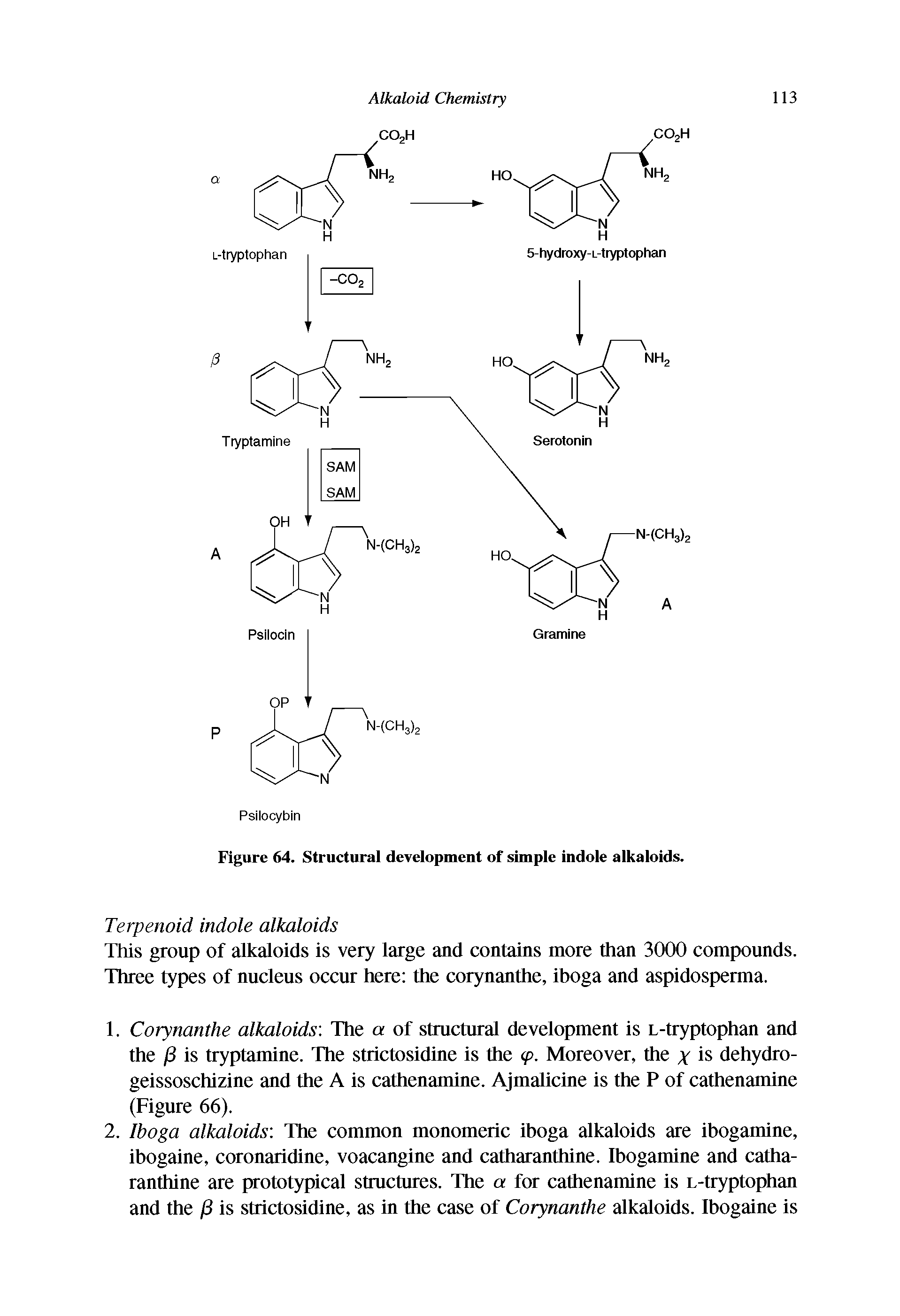 Figure 64. Structural development of simple indole alkaloids.