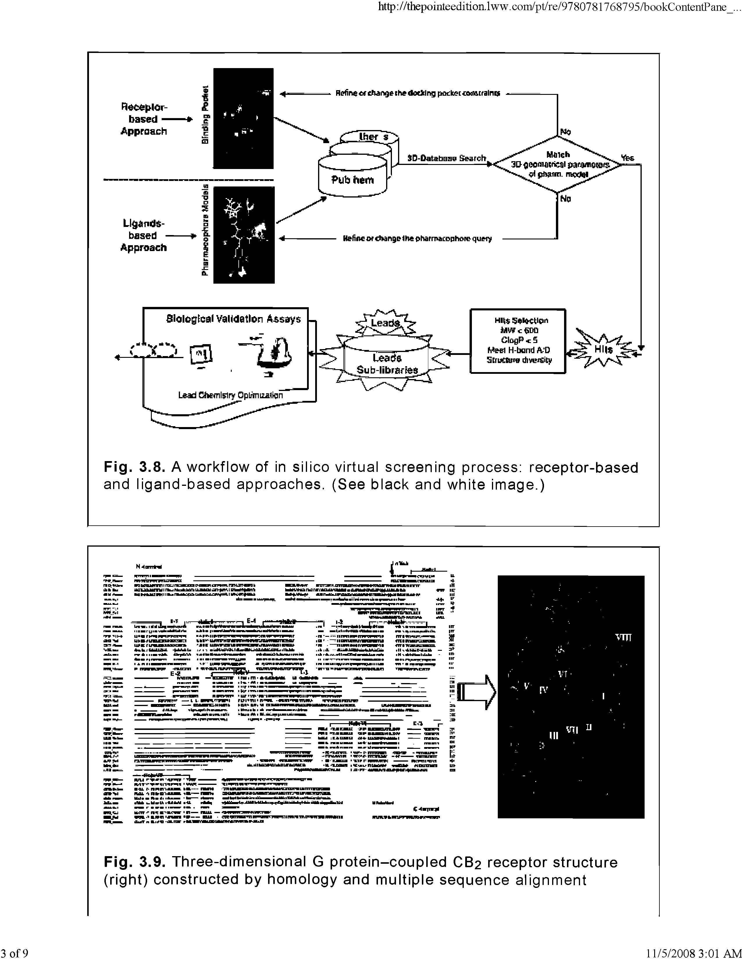 Fig. 3.9. Three-dimensional G protein-coupled CB2 receptor structure (right) constructed by homology and multiple sequence alignment...