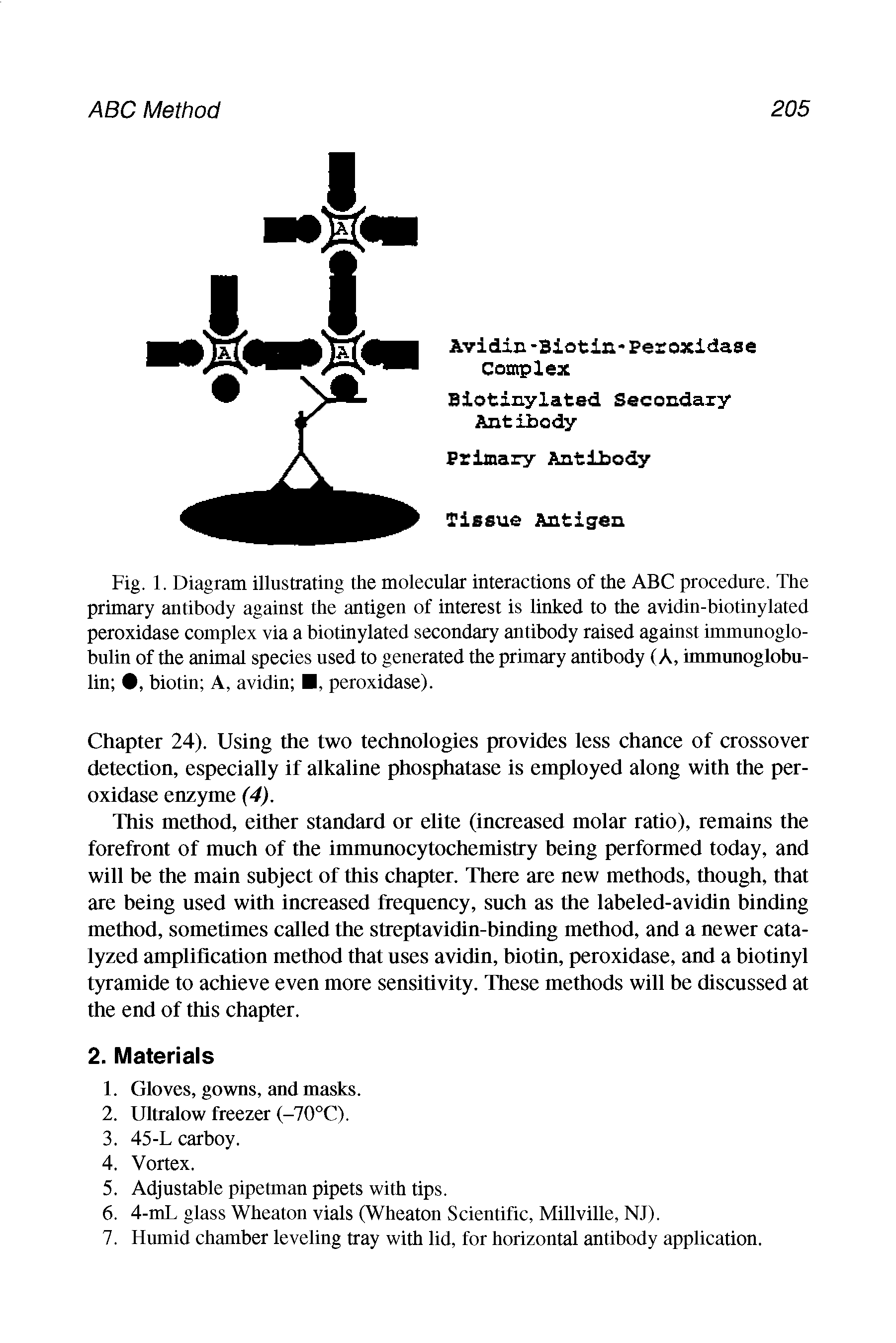 Fig. 1. Diagram illustrating the molecular interactions of the ABC procedure. The primary antibody against the antigen of interest is linked to the avidin-biotinylated peroxidase complex via a biotinylated secondary antibody raised against immunoglobulin of the animal species used to generated the primary antibody (A, immunoglobulin , biotin A, avidin , peroxidase).