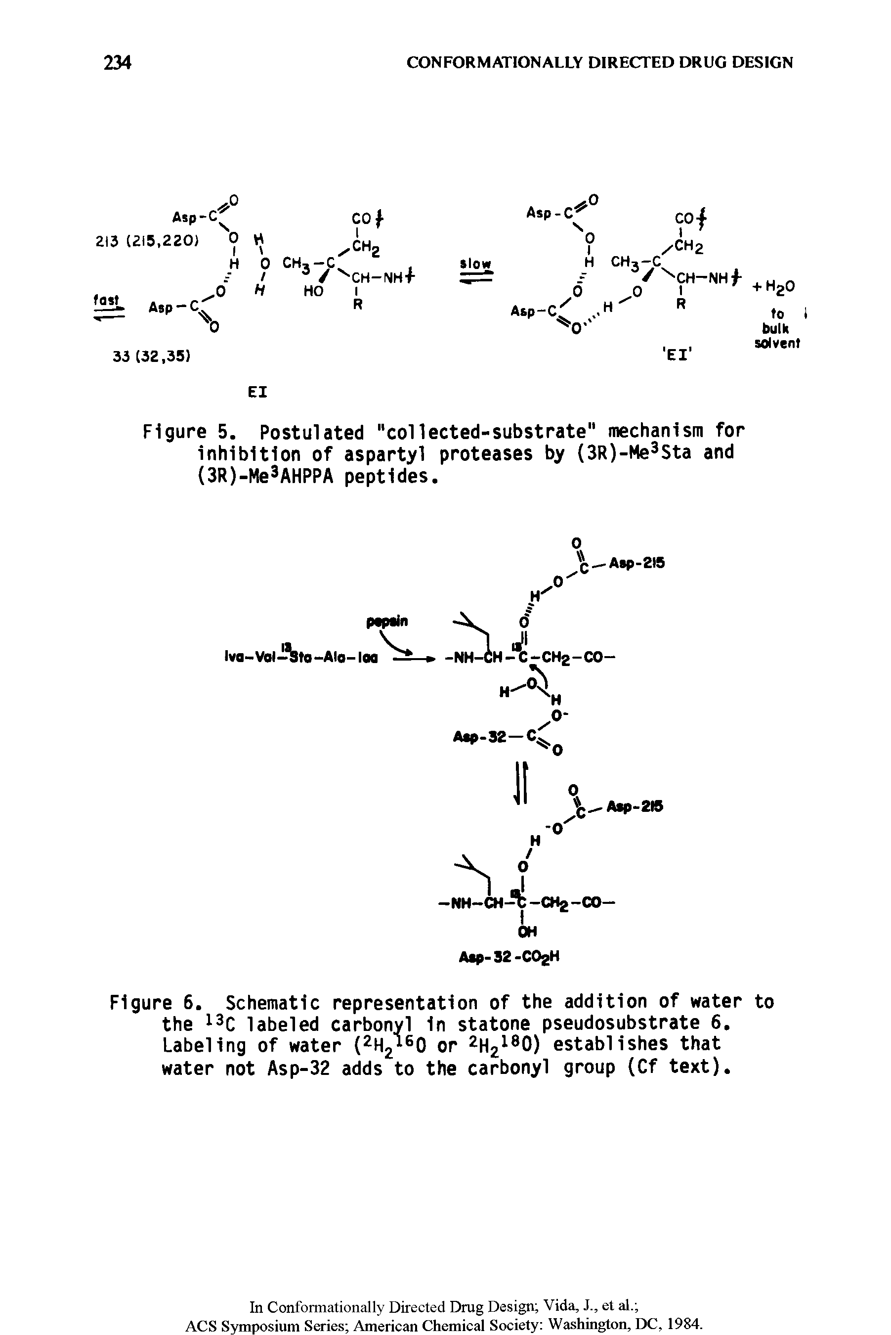 Figure 6. Schematic representation of the addition of water to the labeled carbonyl in statone pseudosubstrate 6. Labeling of water 2H2 0 or 2h21 0) establishes that water not Asp-32 adds to the carbonyl group (Cf text).