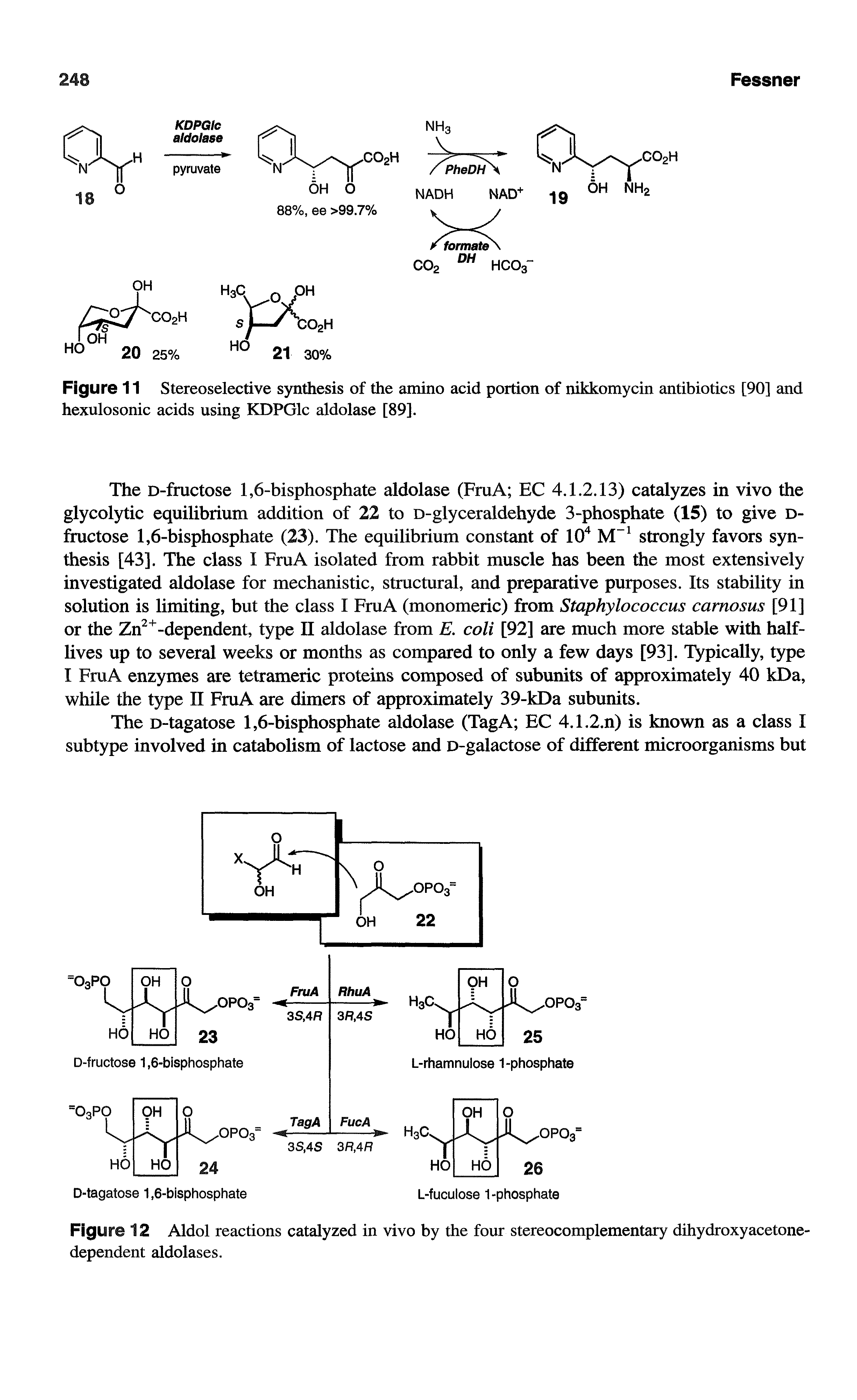 Figure 12 Aldol reactions catalyzed in vivo by the four stereocomplementary dihydroxyacetone-dependent aldolases.