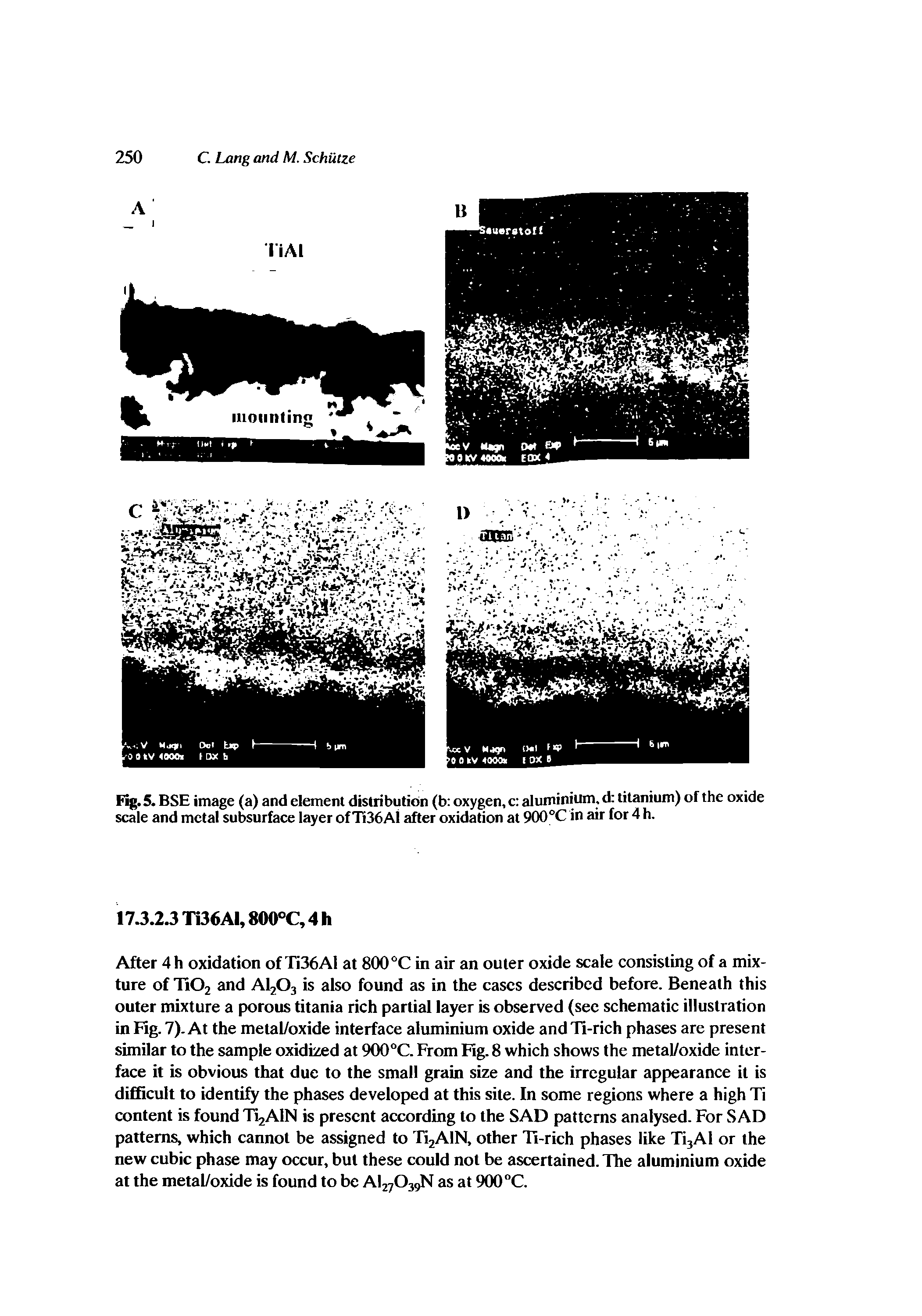 Fig. 5. BSE image (a) and element distribution (b oxygen, c aluminium, d titanium) of the oxide scale and metal subsurface layer of Ti36Al after oxidation at 900°C in air for 4 h.