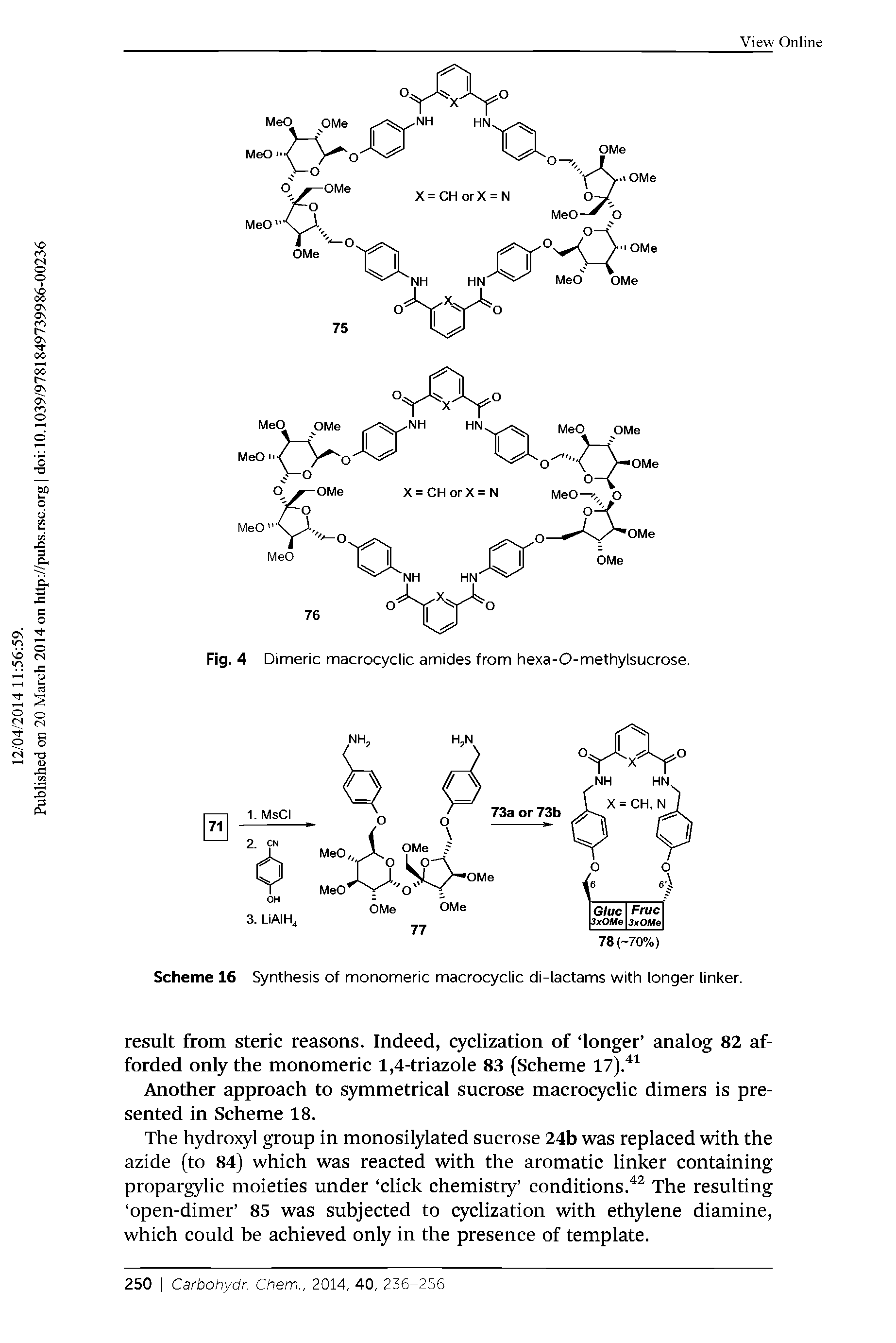 Fig. 4 Dimeric macrocyclic amides from hexa-O-methylsucrose.