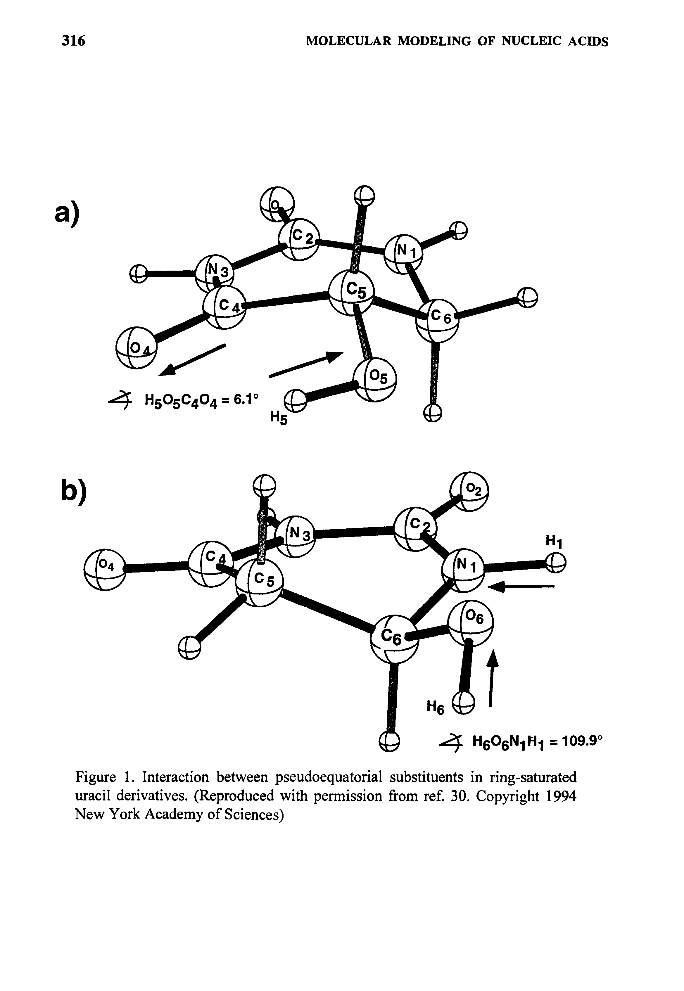 Figure 1. Interaction between pseudoequatorial substituents in ring-saturated uracil derivatives. (Reproduced with permission from ref. 30. Copyright 1994 New York Academy of Sciences)...