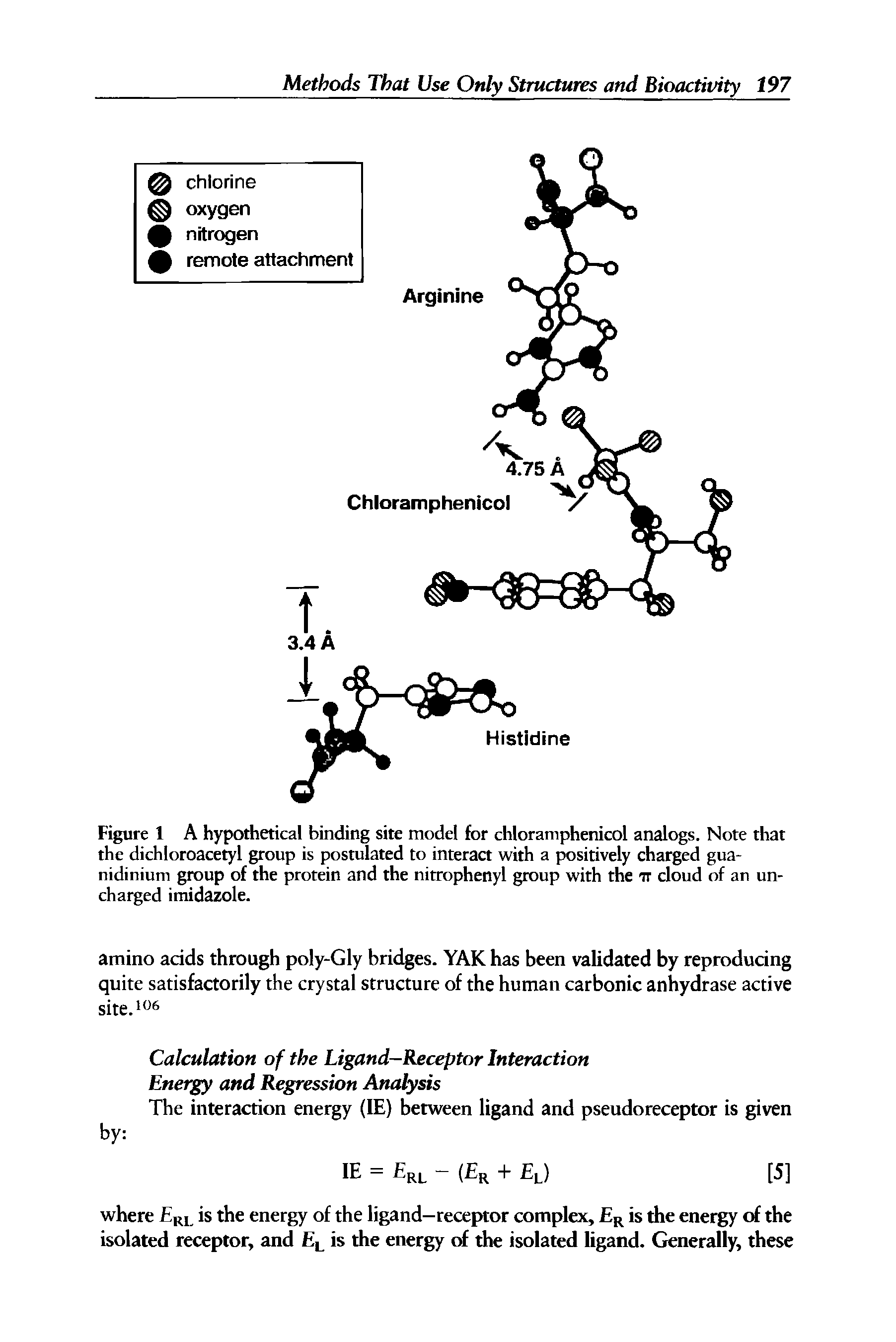 Figure 1 A hypothetical binding site model for chloramphenicol analogs. Note that the dichloroacetyl group is postulated to interact with a positively charged gua-nidinium group of the protein and the nitrophenyl group with the it cloud of an uncharged imidazole.