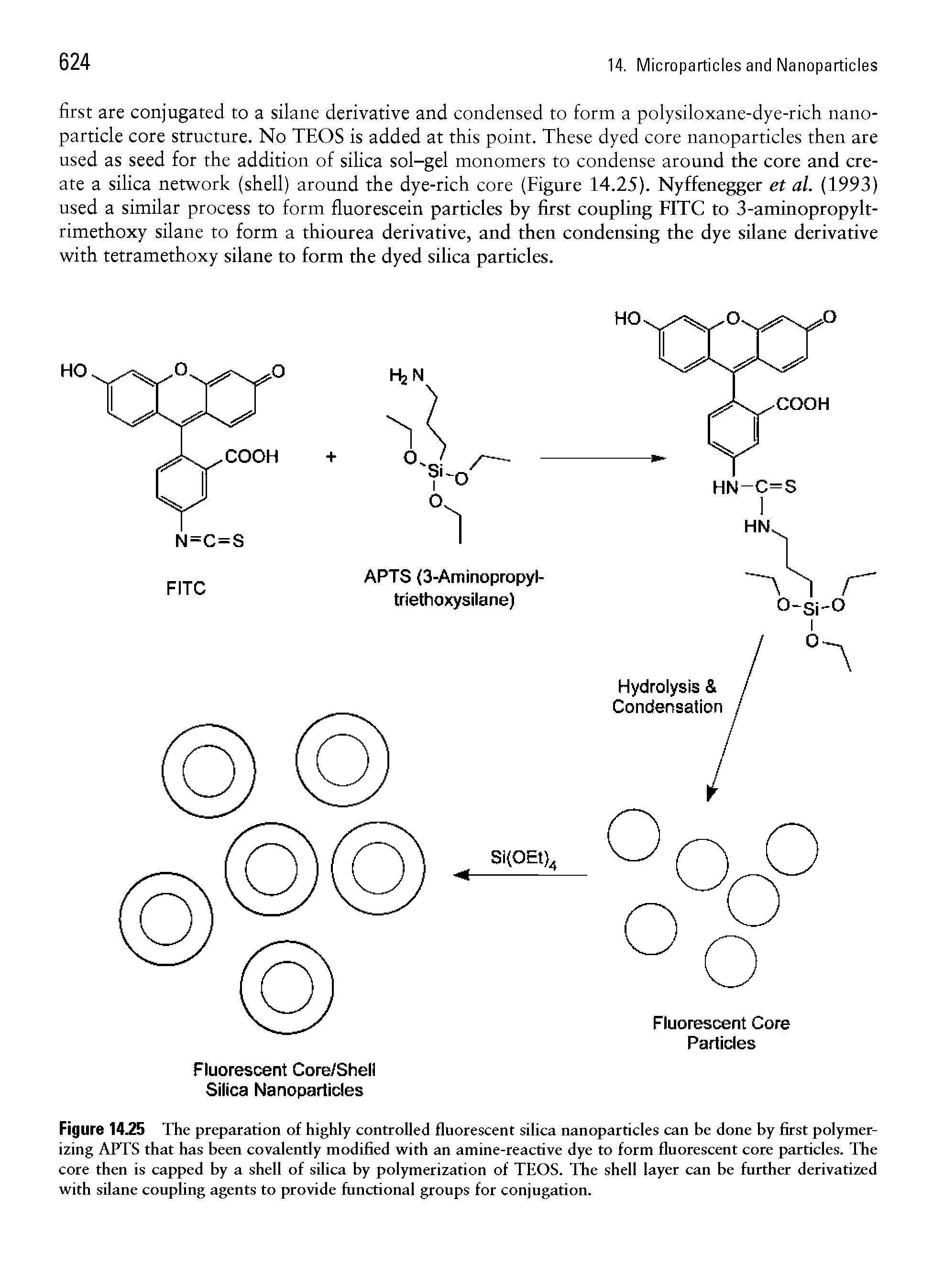 Figure 14.25 The preparation of highly controlled fluorescent silica nanoparticles can be done by first polymerizing APTS that has been covalently modified with an amine-reactive dye to form fluorescent core particles. The core then is capped by a shell of silica by polymerization of TEOS. The shell layer can be further derivatized with silane coupling agents to provide functional groups for conjugation.