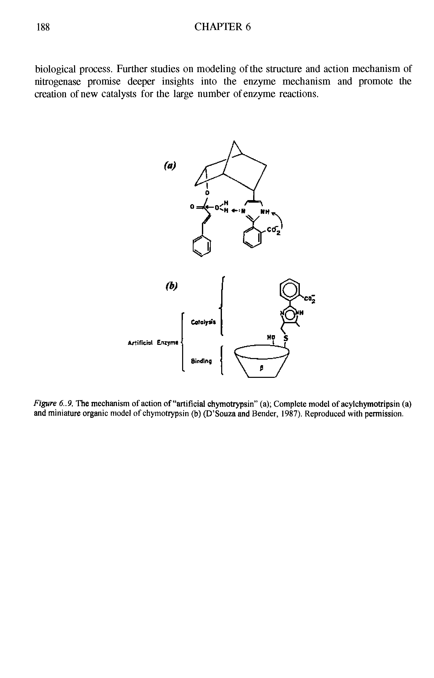 Figure 6..9. The mechanism of action of artificial chymotrypsin (a) Complete model of acylchymotripsin (a) and miniature organic model of chymotrypsin (b) (D Souza and Bender, 1987). Reproduced with permission.