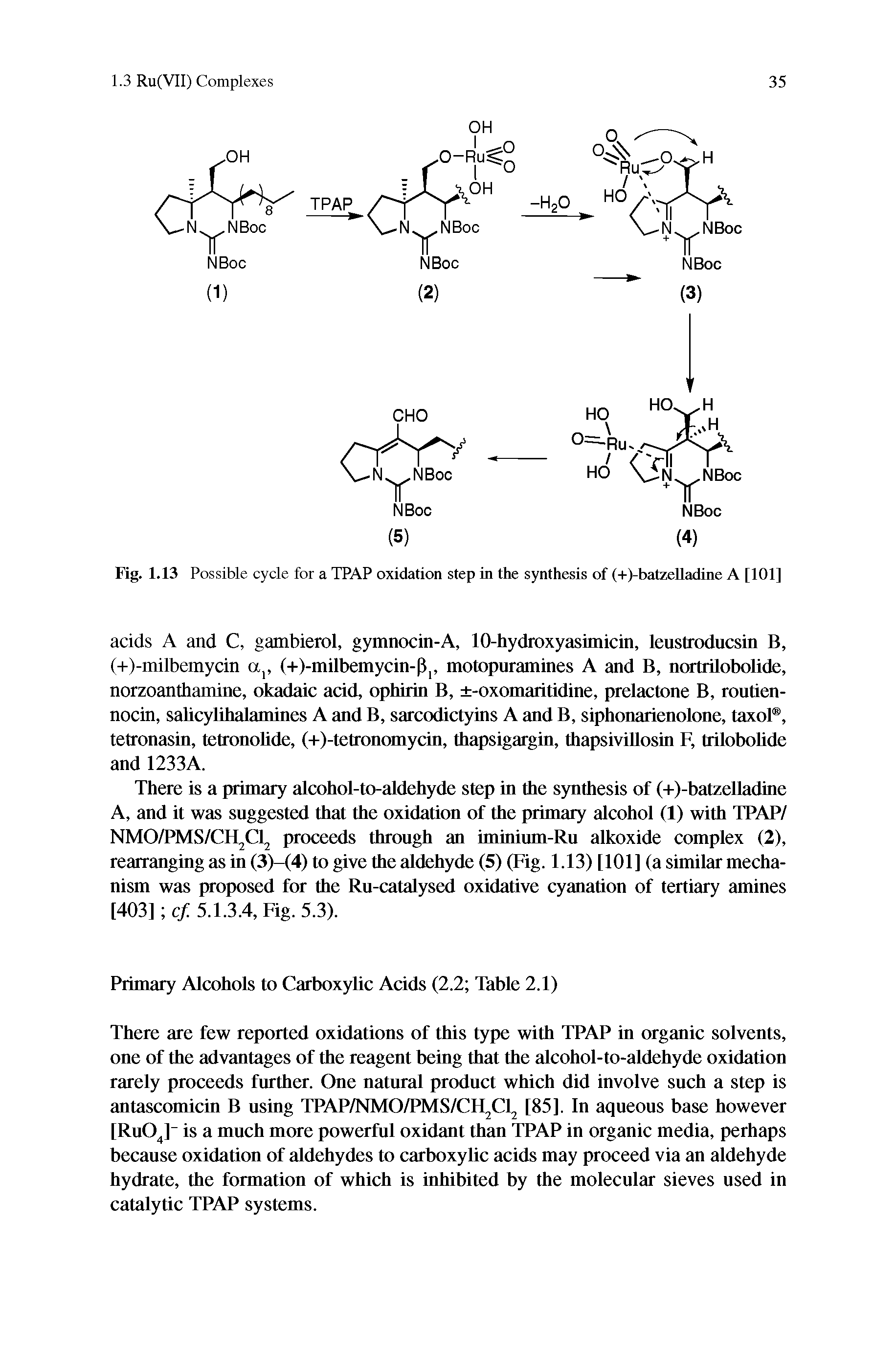 Fig. 1.13 Possible cycle for a TPAP oxidation step in the synthesis of (+)-batzeUadine A [101]...