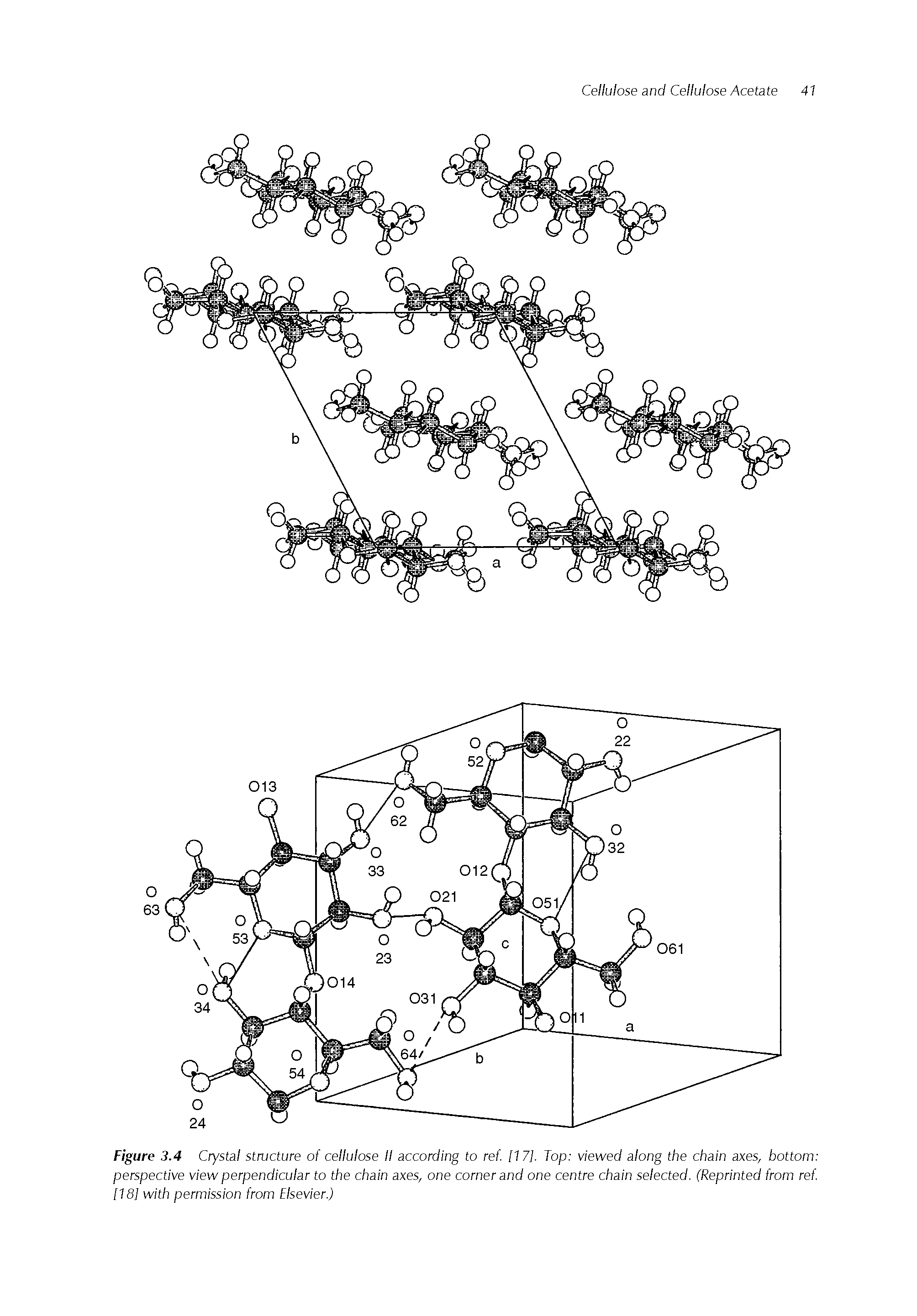 Figure 3.4 Crystal structure of cellulose II according to ref. [17], Top viewed along the chain axes, bottom perspective view perpendicular to the chain axes, one corner and one centre chain selected. (Reprinted from ref. 1181 with permission from Elsevier.)...