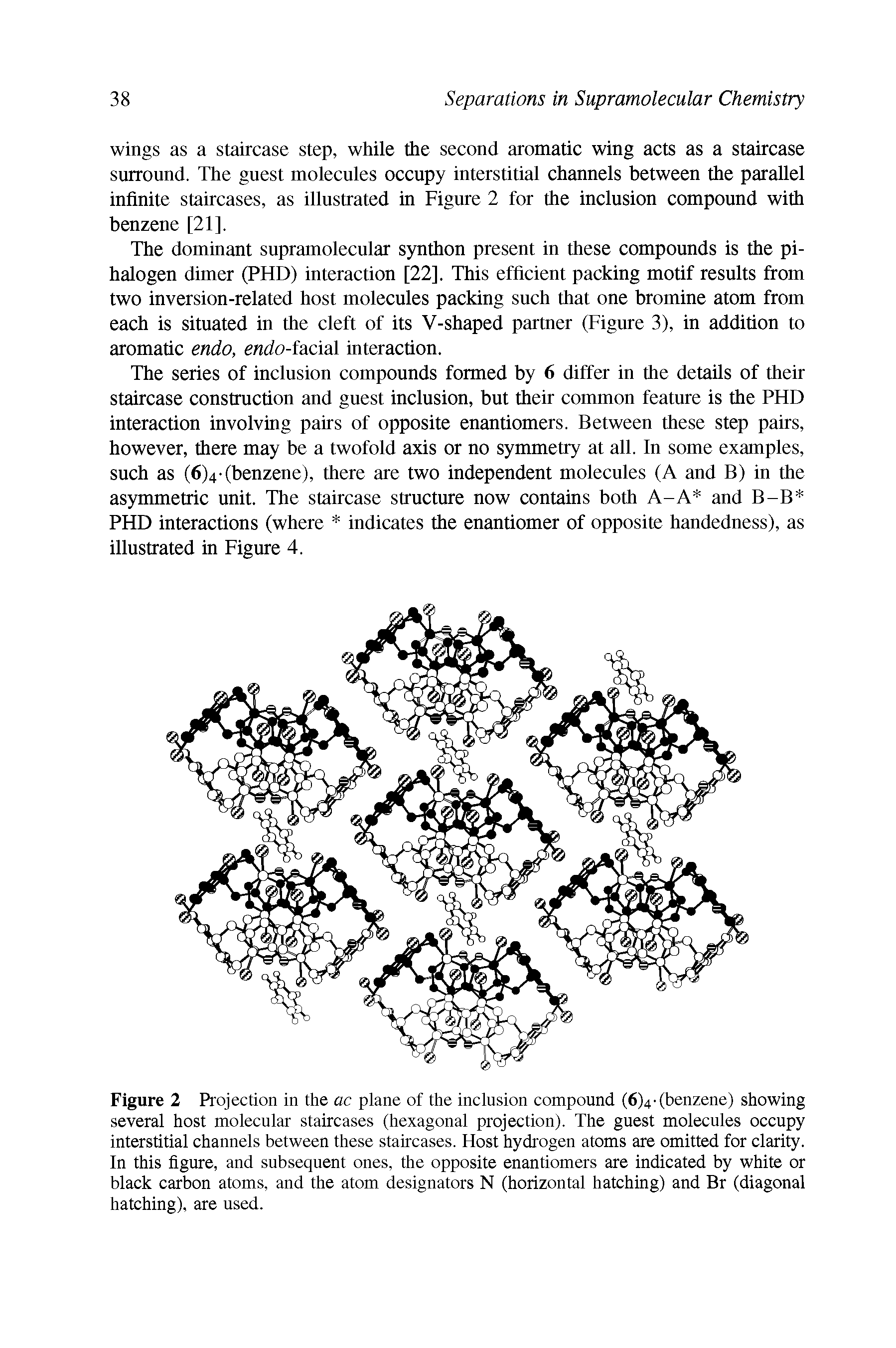 Figure 2 Projection in the ac plane of the inclusion compound (6)4-(benzene) showing several host molecular staircases (hexagonal projection). The guest molecules occupy interstitial channels between these staircases. Host hydrogen atoms are omitted for clarity. In this figure, and subsequent ones, the opposite enantiomers are indicated by white or black carbon atoms, and the atom designators N (horizontal hatching) and Br (diagonal hatching), are used.