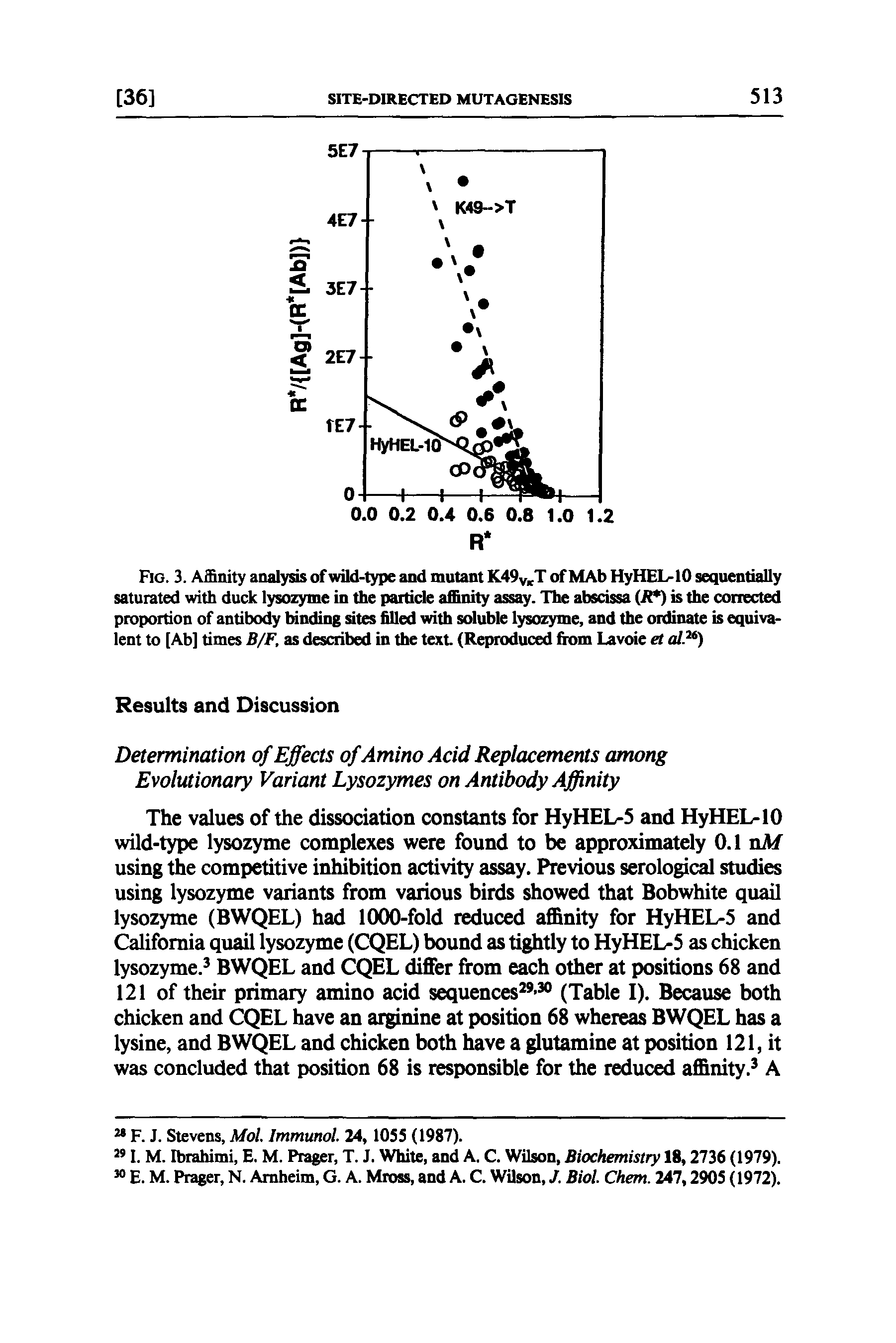 Fig. 3. Affinity analysis of wild-type and mutant K49VlcT of MAb HyHEHO sequentially saturated with duck lysozyme in the particle affinity assay. The abscissa (R ) is the corrected proportion of antibody binding sites filled with soluble lysozyme, and the ordinate is equivalent to [Ab] times B/F, as described in the text (Reproduced from Lavoie et al.26)...