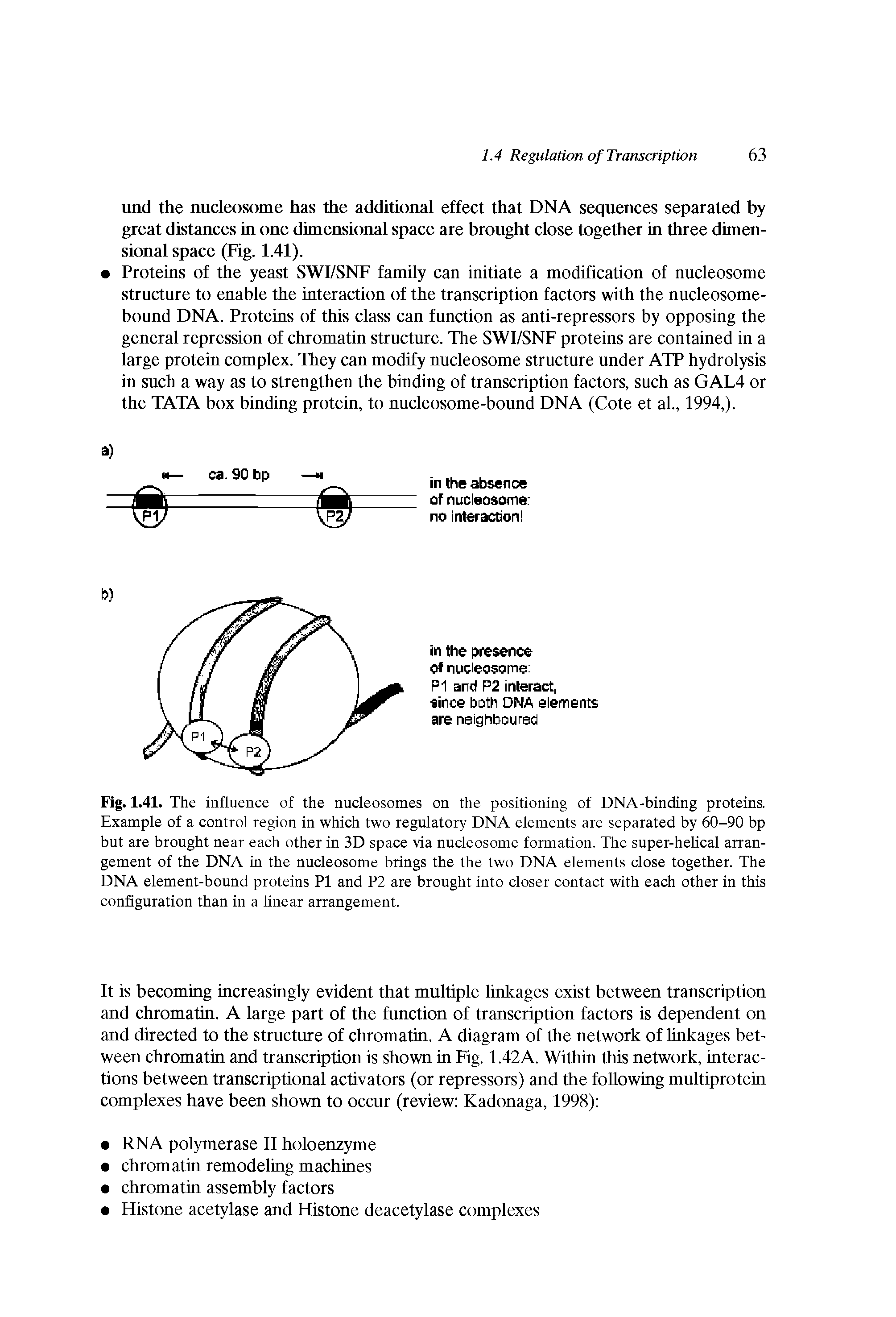 Fig. 1.41. The influence of the nucleosomes on the positioning of DNA-binding proteins. Example of a control region in which two regulatory DNA elements are separated by 60-90 bp but are brought near each other in 3D space via nucleosome formation. The super-helical arrangement of the DNA in the nucleosome brings the the two DNA elements close together. The DNA element-bound proteins PI and P2 are brought into closer contact with each other in this configuration than in a linear arrangement.