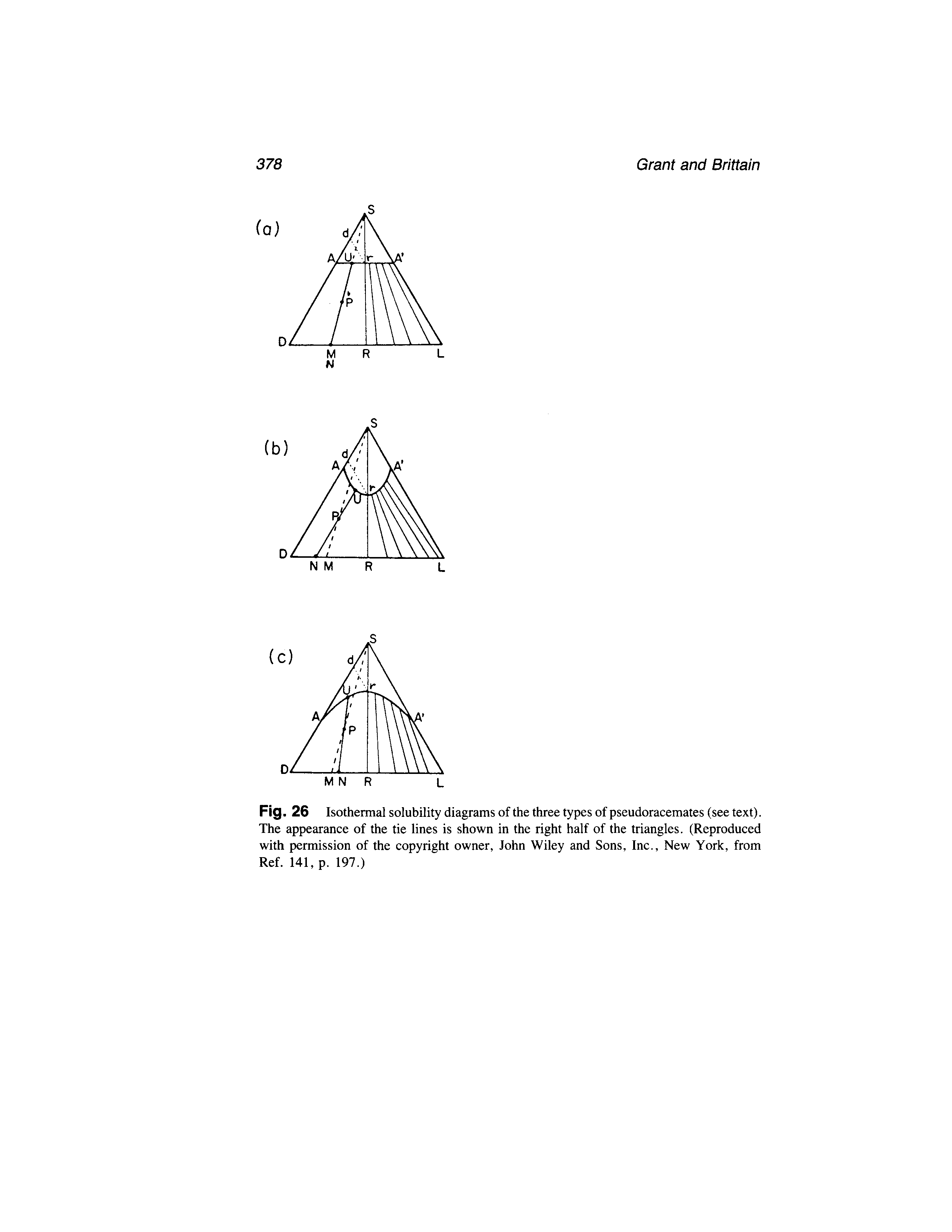 Fig. 26 Isothermal solubility diagrams of the three types of pseudoracemates (see text). The appearance of the tie lines is shown in the right half of the triangles. (Reproduced with permission of the copyright owner, John Wiley and Sons, Inc., New York, from Ref. 141, p. 197.)...
