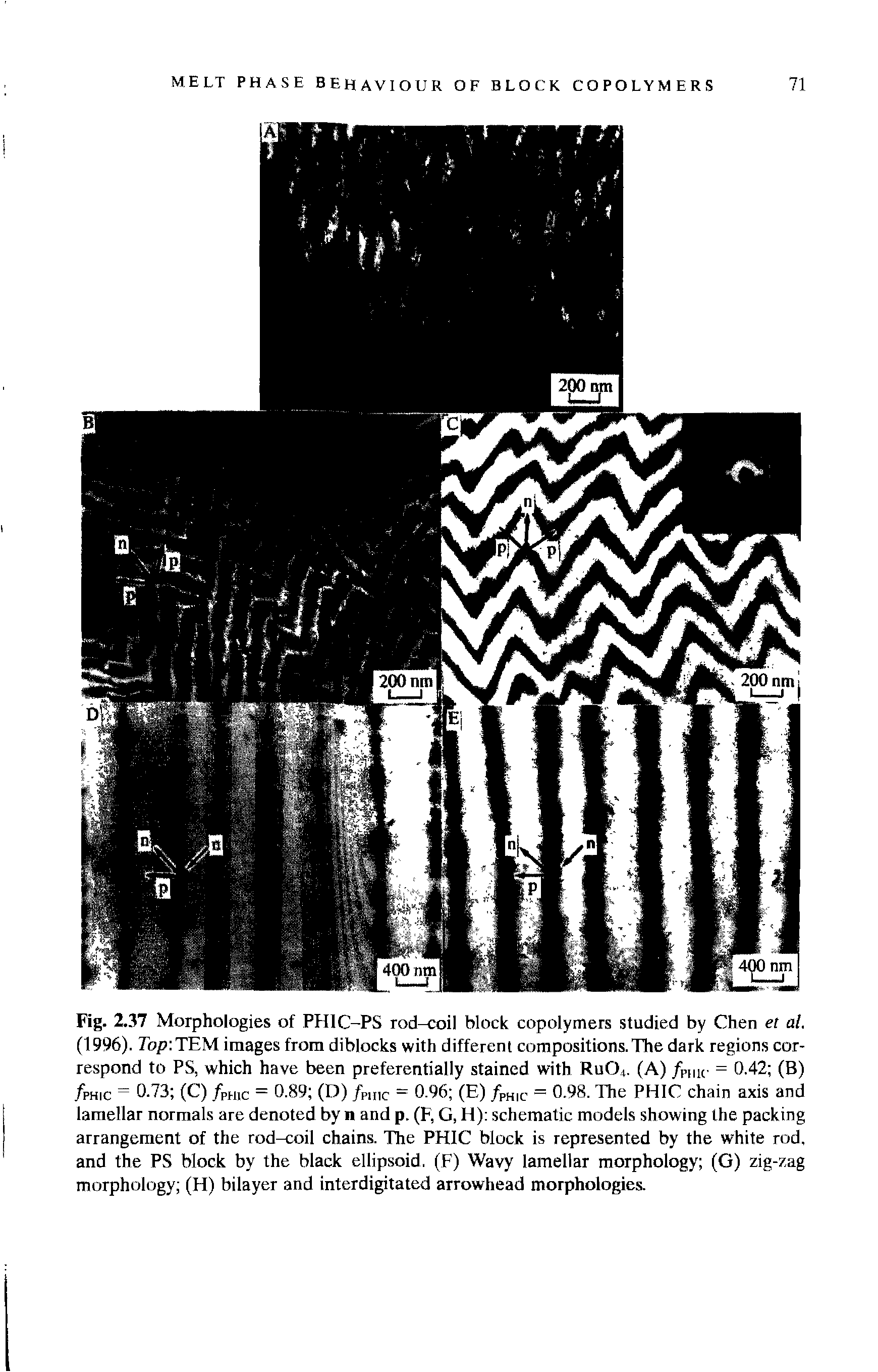 Fig. 2.37 Morphologies of PHIC-PS rod-coil block copolymers studied by Chen et al. (1996). 7bp TEM images from diblocks with different compositions.The dark regions correspond to PS, which have been preferentially stained with RuG4. (A) /,., K- = 0.42 (B) /PHIC = 0.73 (C) /pH,c = 0.89 (D) /Pmc = 0.96 (E) /PHIC = 0.98. The PHIC chain axis and lamellar normals are denoted by n and p. (F, G, H) schematic models showing the packing arrangement of the rod-coil chains. The PHIC block is represented by the white rod, and the PS block by the black ellipsoid. (F) Wavy lamellar morphology (G) zig-zag morphology (H) bilayer and interdigitated arrowhead morphologies.
