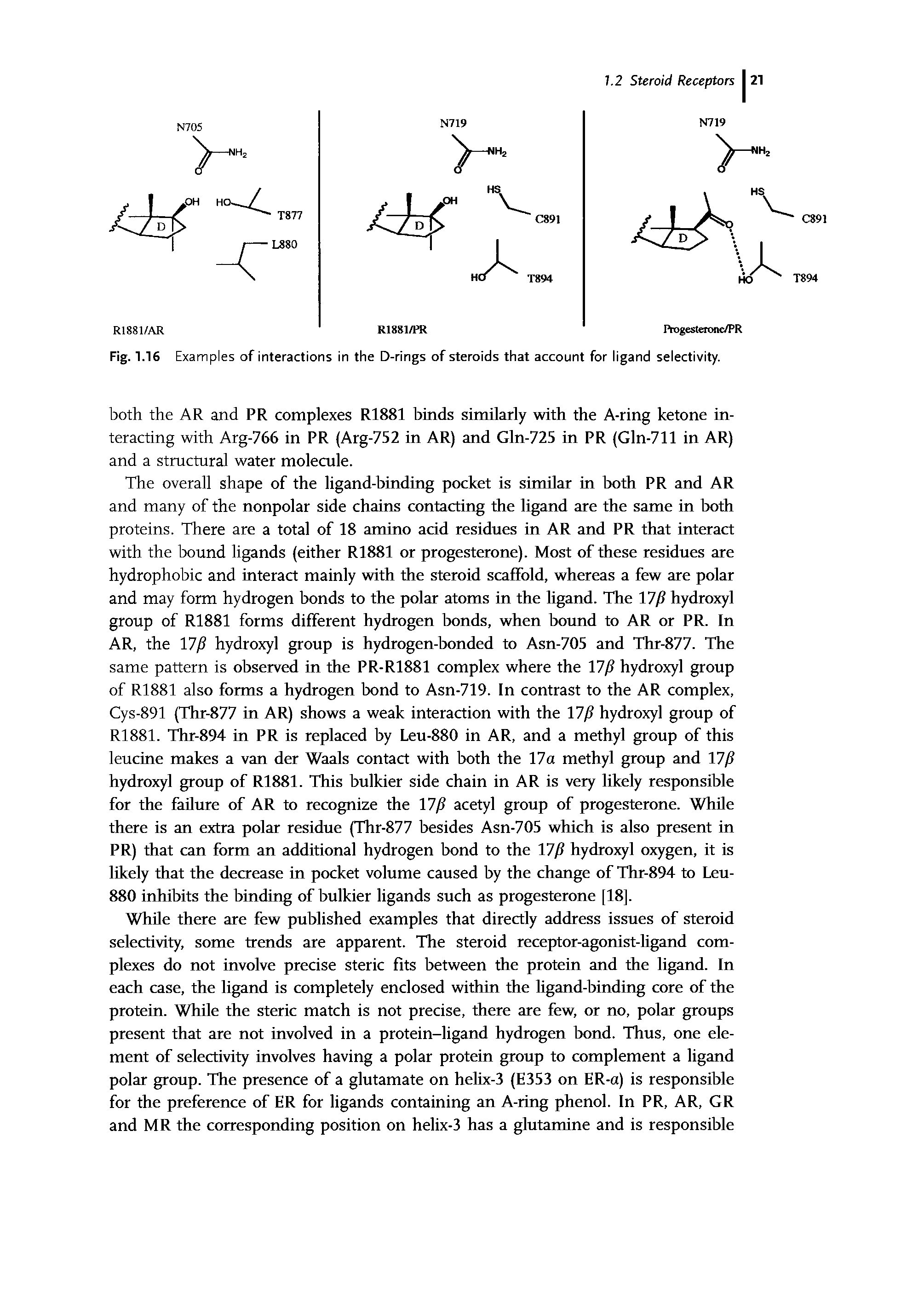 Fig. 1.16 Examples of interactions in the D-rings of steroids that account for ligand selectivity.