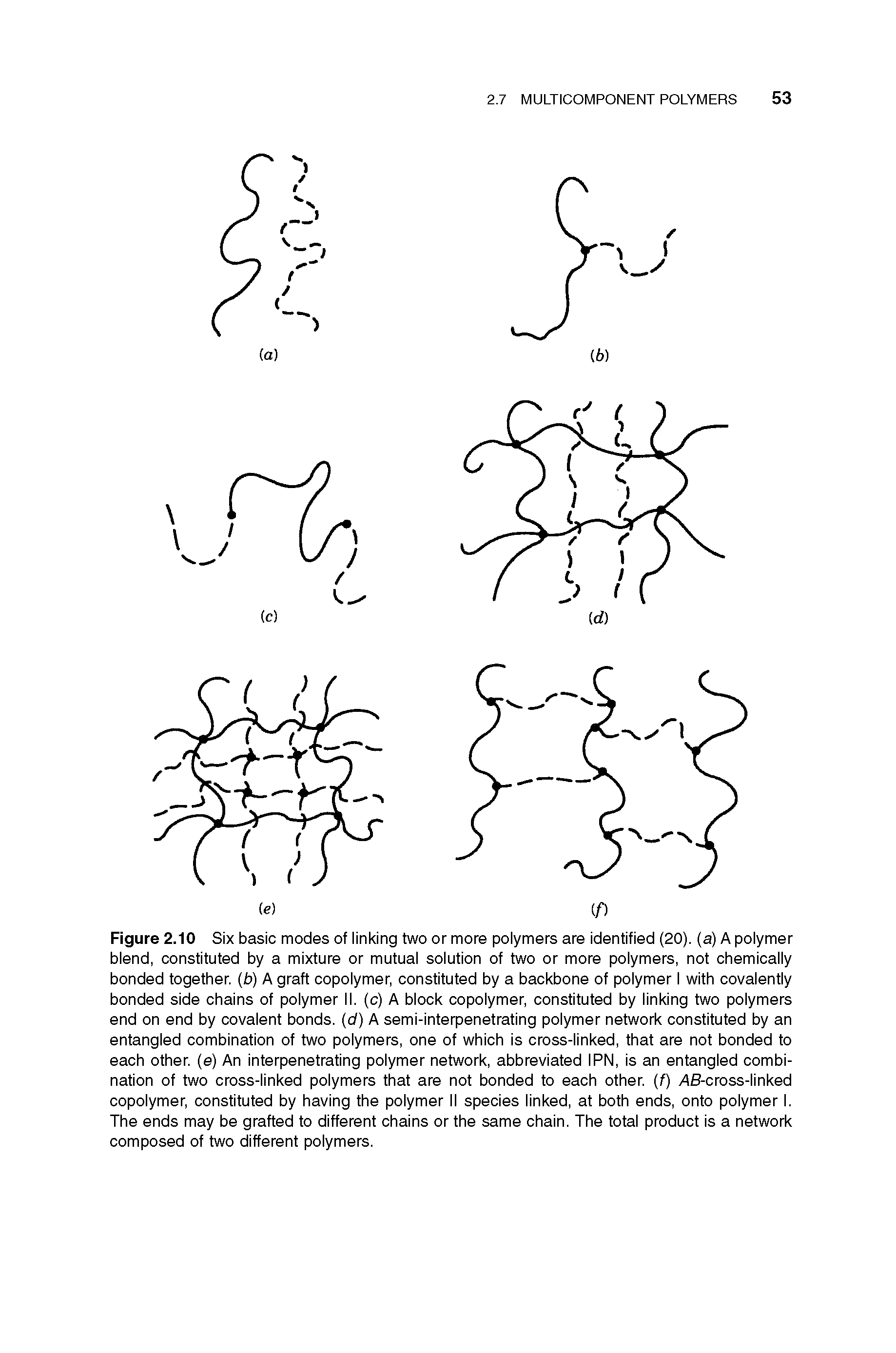 Figure 2.10 Six basic modes of linking two or more polymers are identified (20). (a) A polymer blend, constituted by a mixture or mutual solution of two or more polymers, not chemically bonded together, (b) A graft copolymer, constituted by a backbone of polymer I with covalently bonded side chains of polymer II. (c) A block copolymer, constituted by linking two polymers end on end by covalent bonds, (d) A semi-interpenetrating polymer network constituted by an entangled combination of two polymers, one of which is cross-linked, that are not bonded to each other, (e) An interpenetrating polymer network, abbreviated IPN, is an entangled combination of two cross-linked polymers that are not bonded to each other, (f) AS-cross-linked copolymer, constituted by having the polymer II species linked, at both ends, onto polymer I. The ends may be grafted to different chains or the same chain. The total product is a network composed of two different polymers.