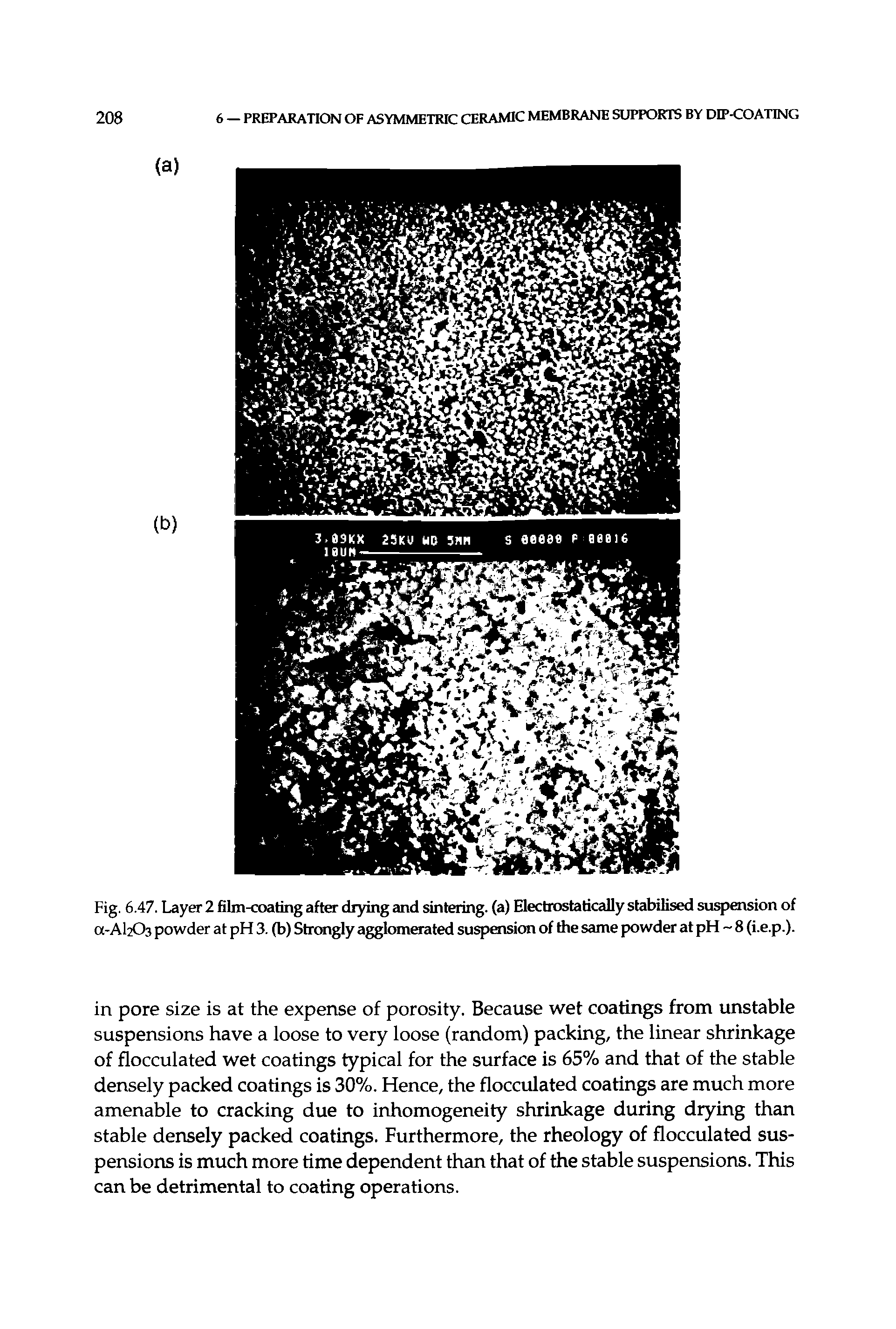 Fig. 6.47. Layer 2 film-coating after dr5fing cmd sintering, (a) Electrostatically stabilised suspension of a-Al203 powder at pH 3. (b) Strongly agglomerated suspension of the same powder at pH 8 (i.e.p.).