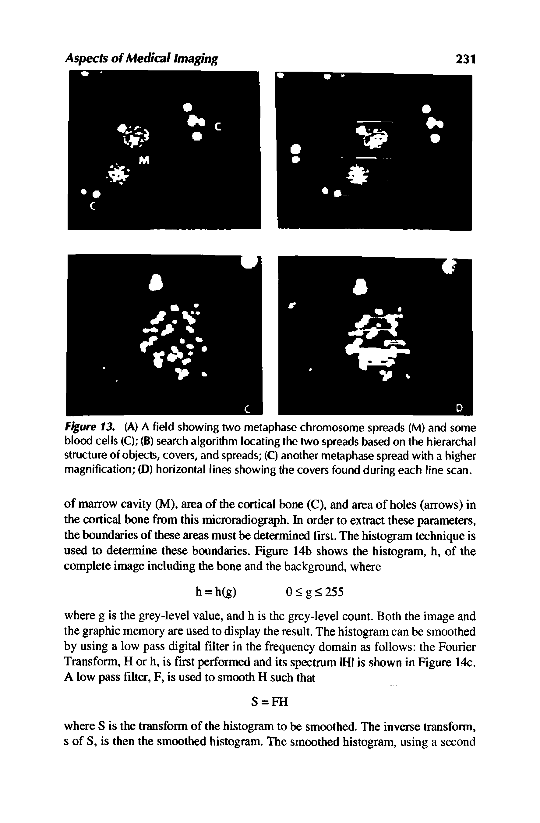 Figure 13. (A) A field showing two metaphase chromosome spreads (M) and some blood cells (C) (B) search algorithm locating the two spreads based on the hierarchal structure of objects, covers, and spreads (C) another metaphase spread with a higher magnification (D) horizontal lines showing the covers found during each line scan.