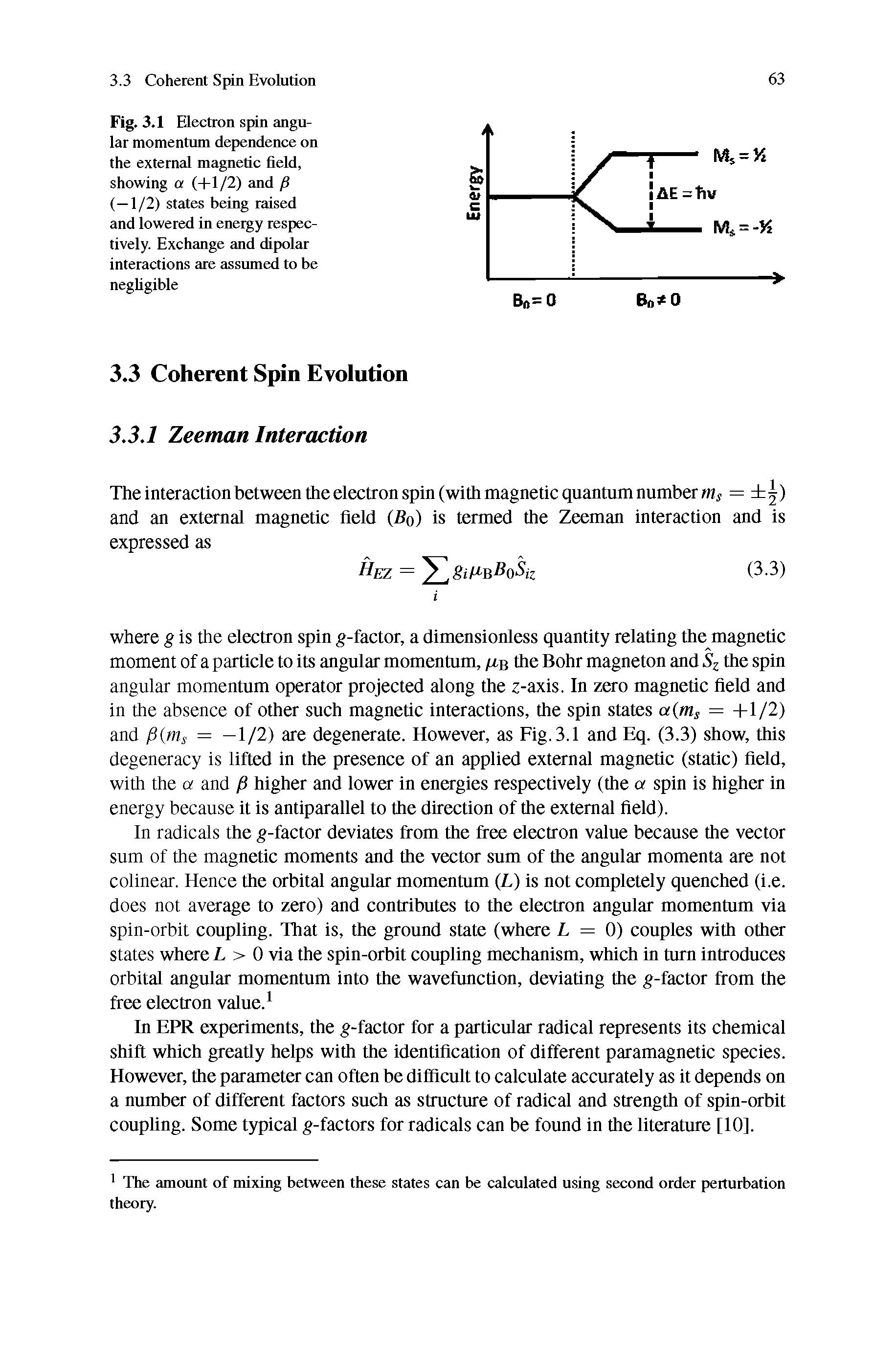 Fig. 3.1 Electron spin angular momentum dependence on the extemtd magnetic field, showing a (+1/2) and /S (—1/2) sttites being raised and lowered in energy respectively. Exchange and dipolar interactions arc assumed to be negUgible...