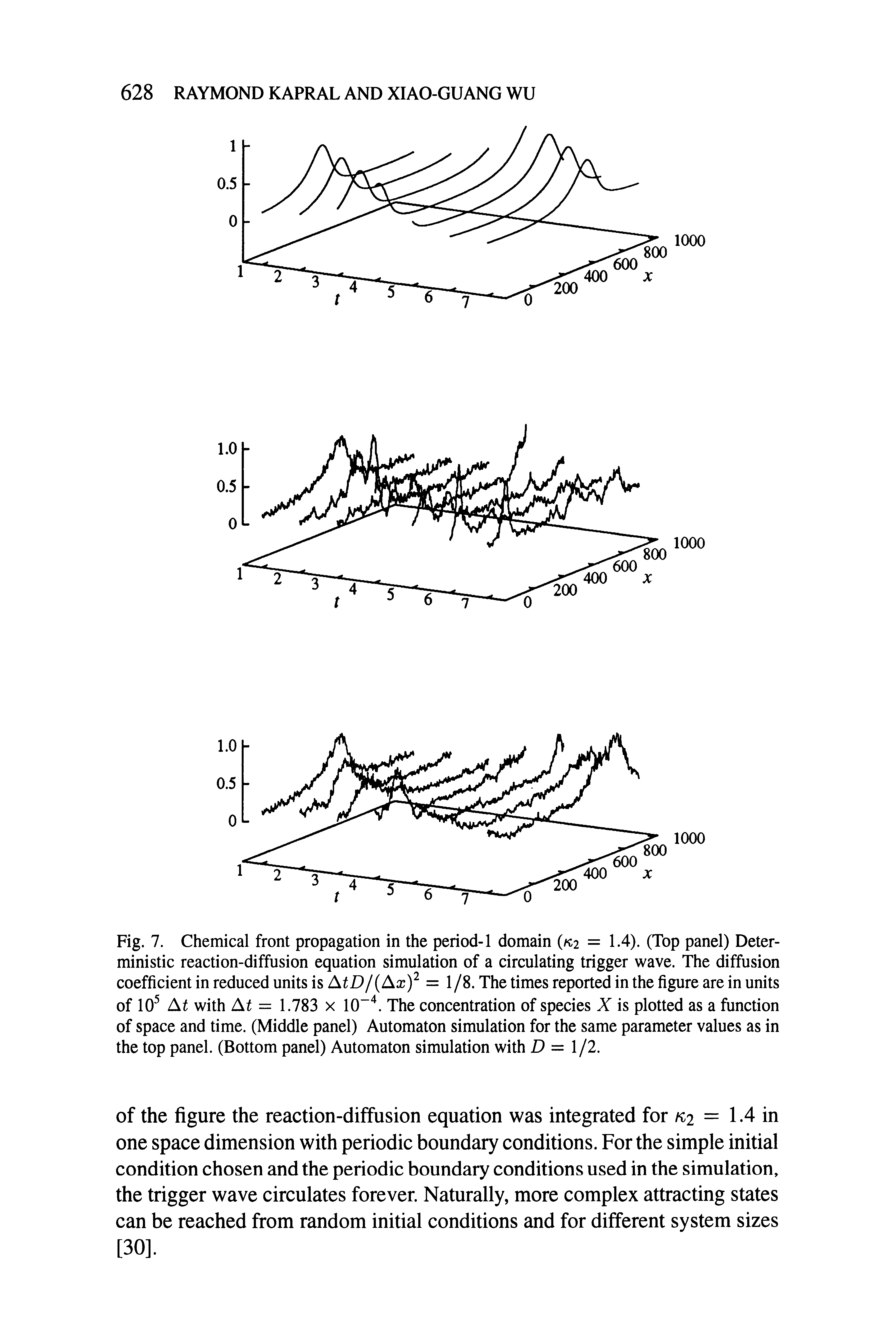 Fig. 7. Chemical front propagation in the period-1 domain ( 2 = 1.4). (Top panel) Deterministic reaction-diffusion equation simulation of a circulating trigger wave. The diffusion coefficient in reduced units is AtD/ Ax) = 1 /8. The times reported in the figure are in units of 10 At with At = 1.783 x 10 . The concentration of species X is plotted as a function of space and time. (Middle panel) Automaton simulation for the same parameter values as in the top panel. (Bottom panel) Automaton simulation with D = /2.