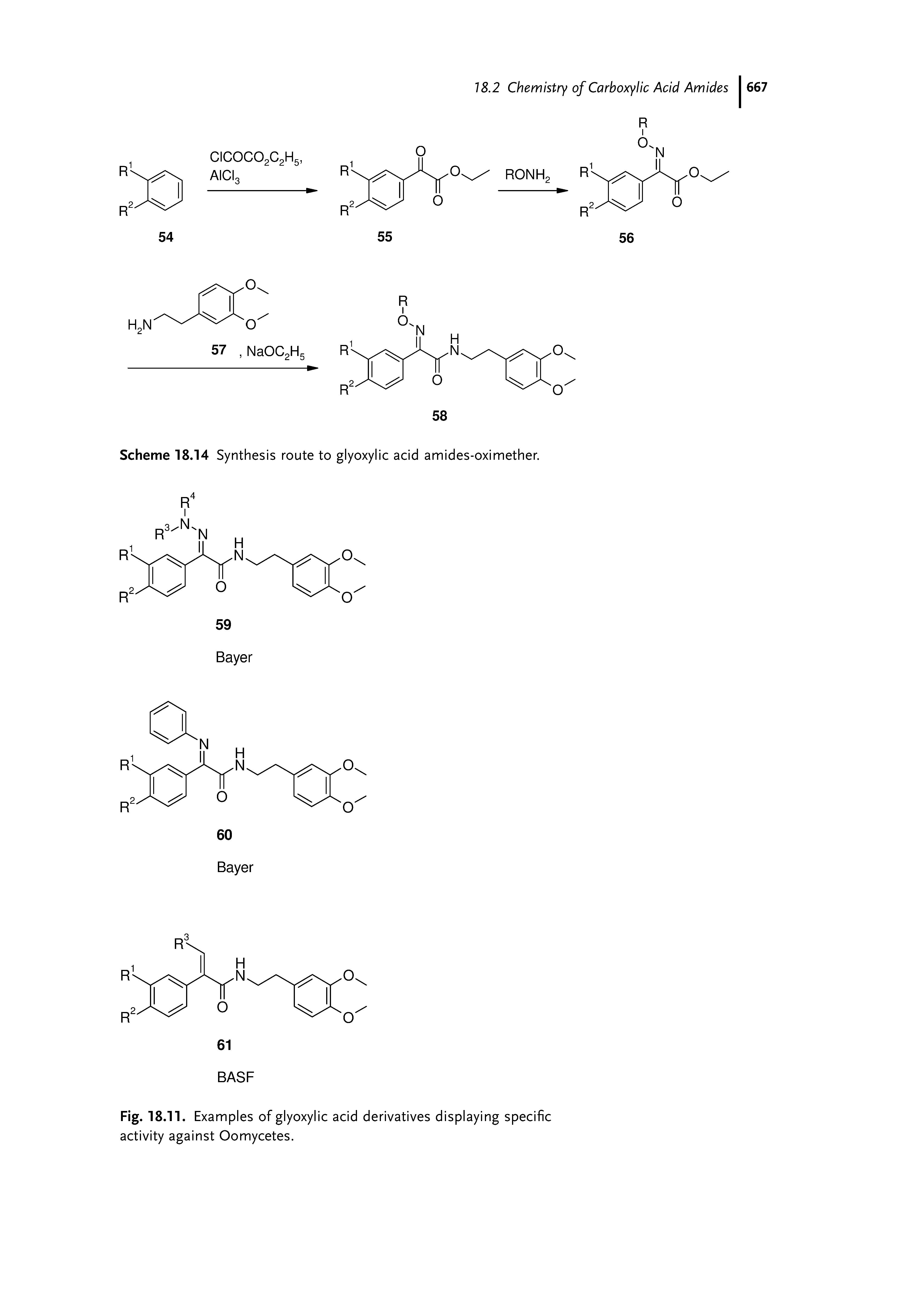 Fig. 18.11. Examples of glyoxylic acid derivatives displaying specific activity against Oomycetes.